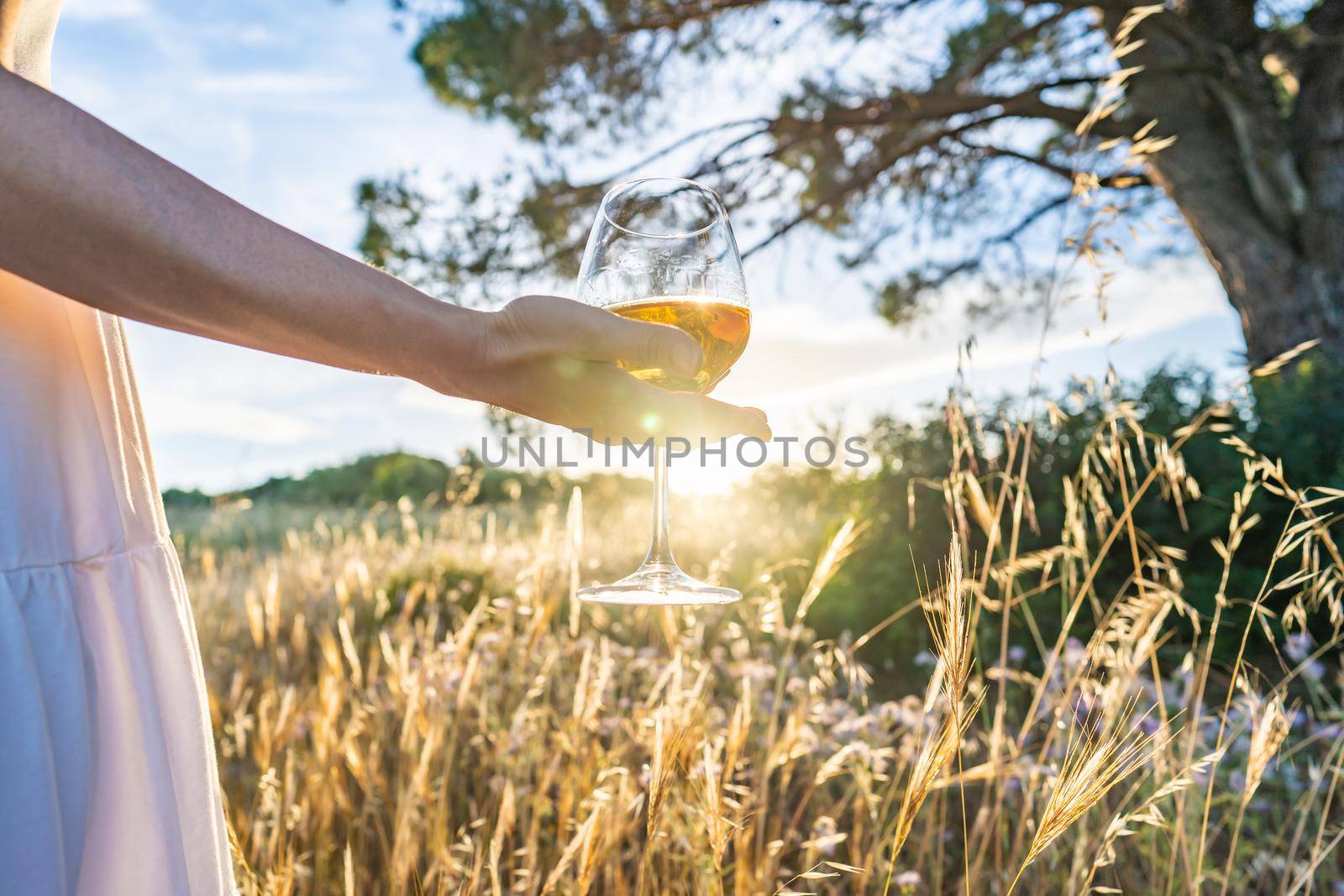 Suggestive scene of unrecognizable woman in white boho style dress and large dark hat holding wine glass looking at sunset in a high grass meadow. Alone girl drinking champagne in the nature at dusk by robbyfontanesi