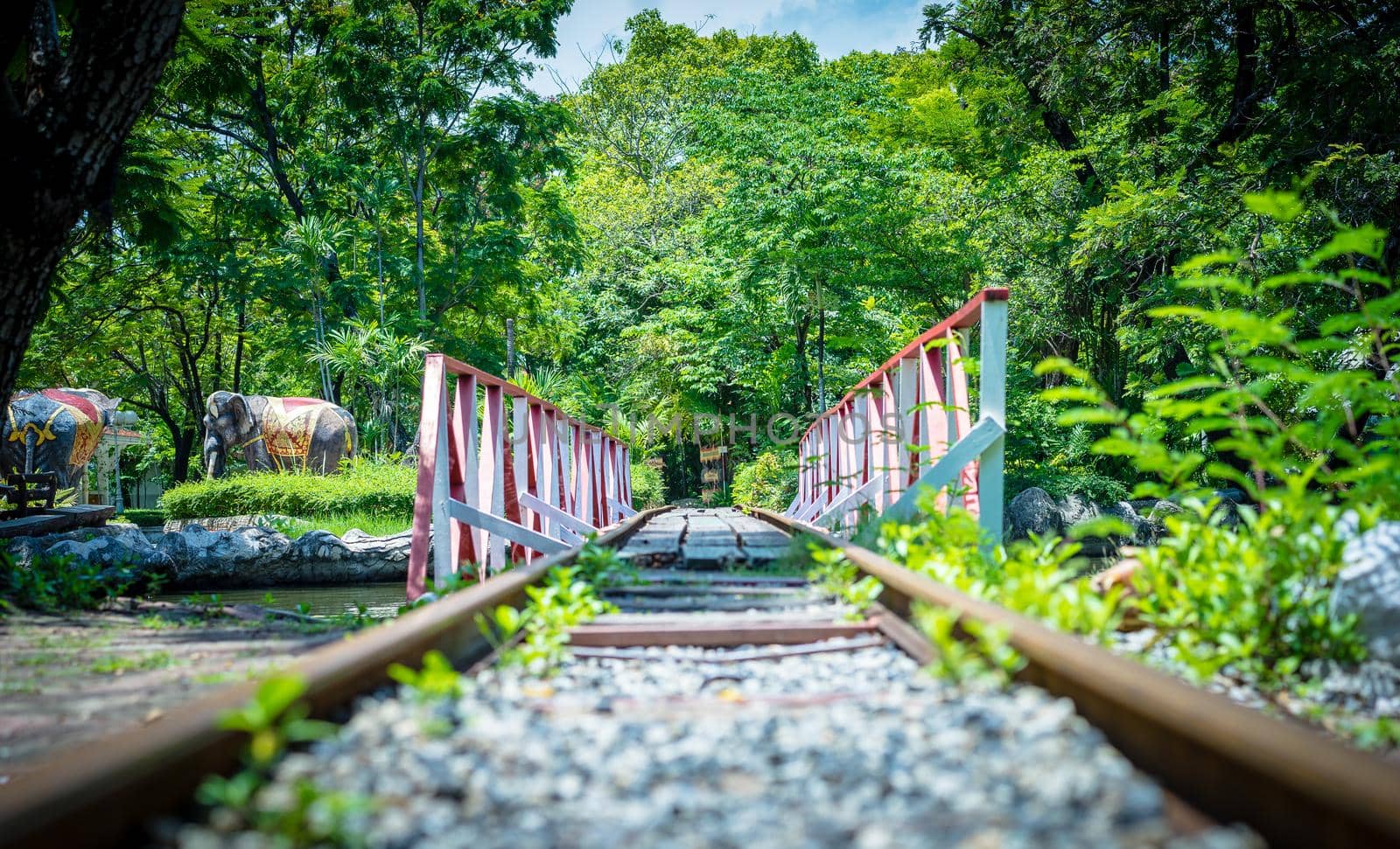 Railroad tracks through the park by domonite