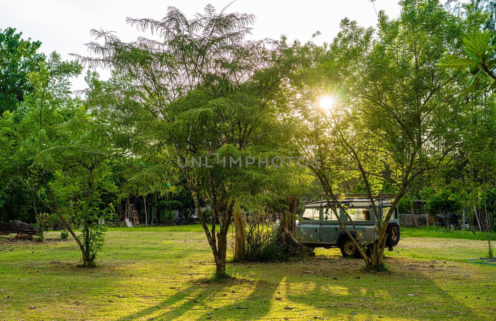 old car in the field with sunlight