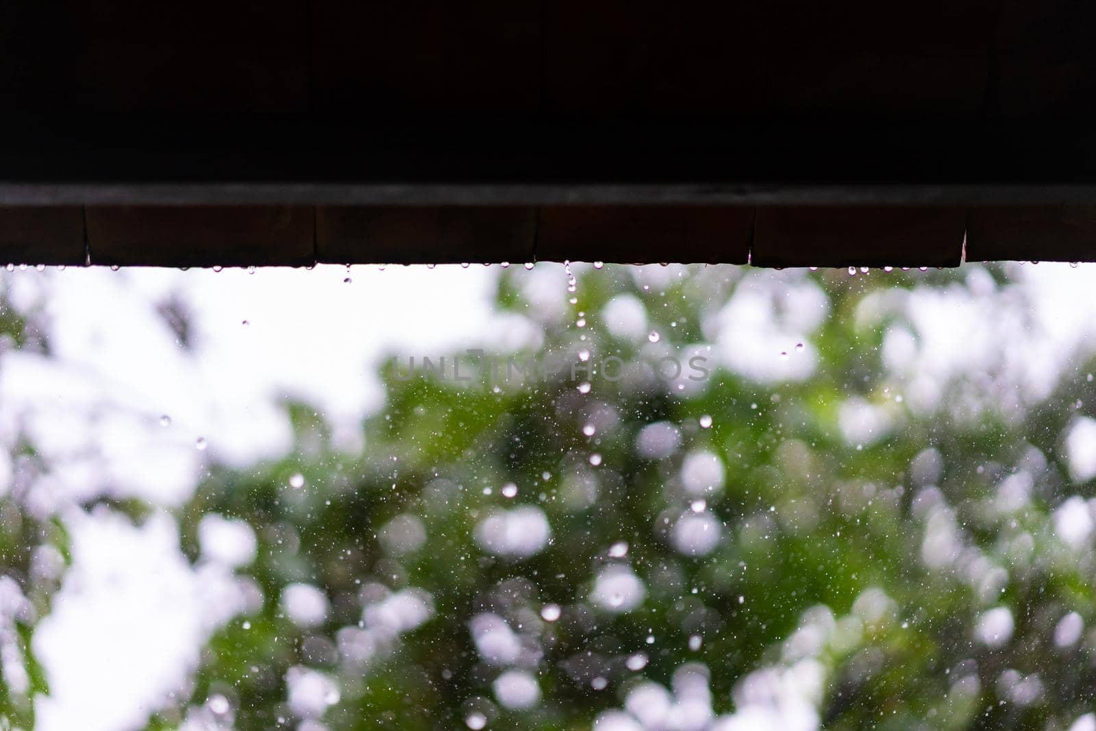 Rain drops falling from roof with bokeh background