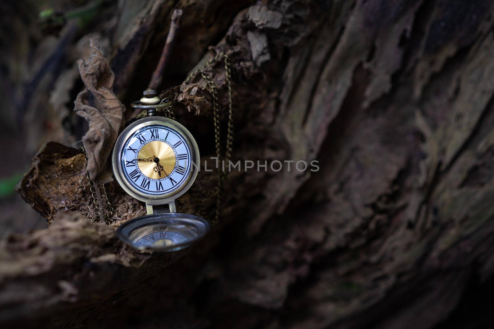 vintage pocket watch on the old wooden background with copy space