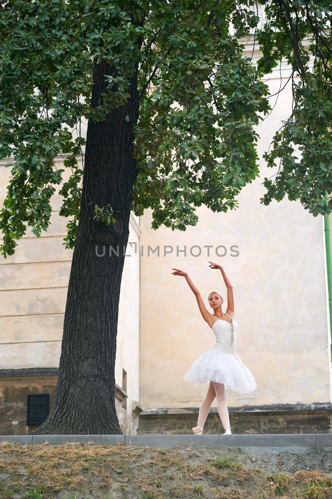 Professional female ballet dancer performing under the big tree outdoors dancing art expressive beauty sensuality.