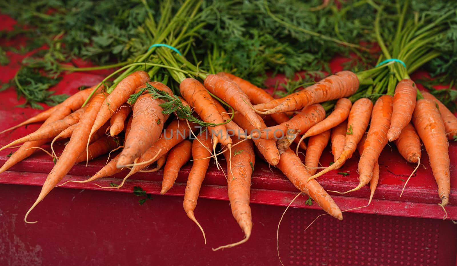 Fresh ripe carrots displayed on street food market.