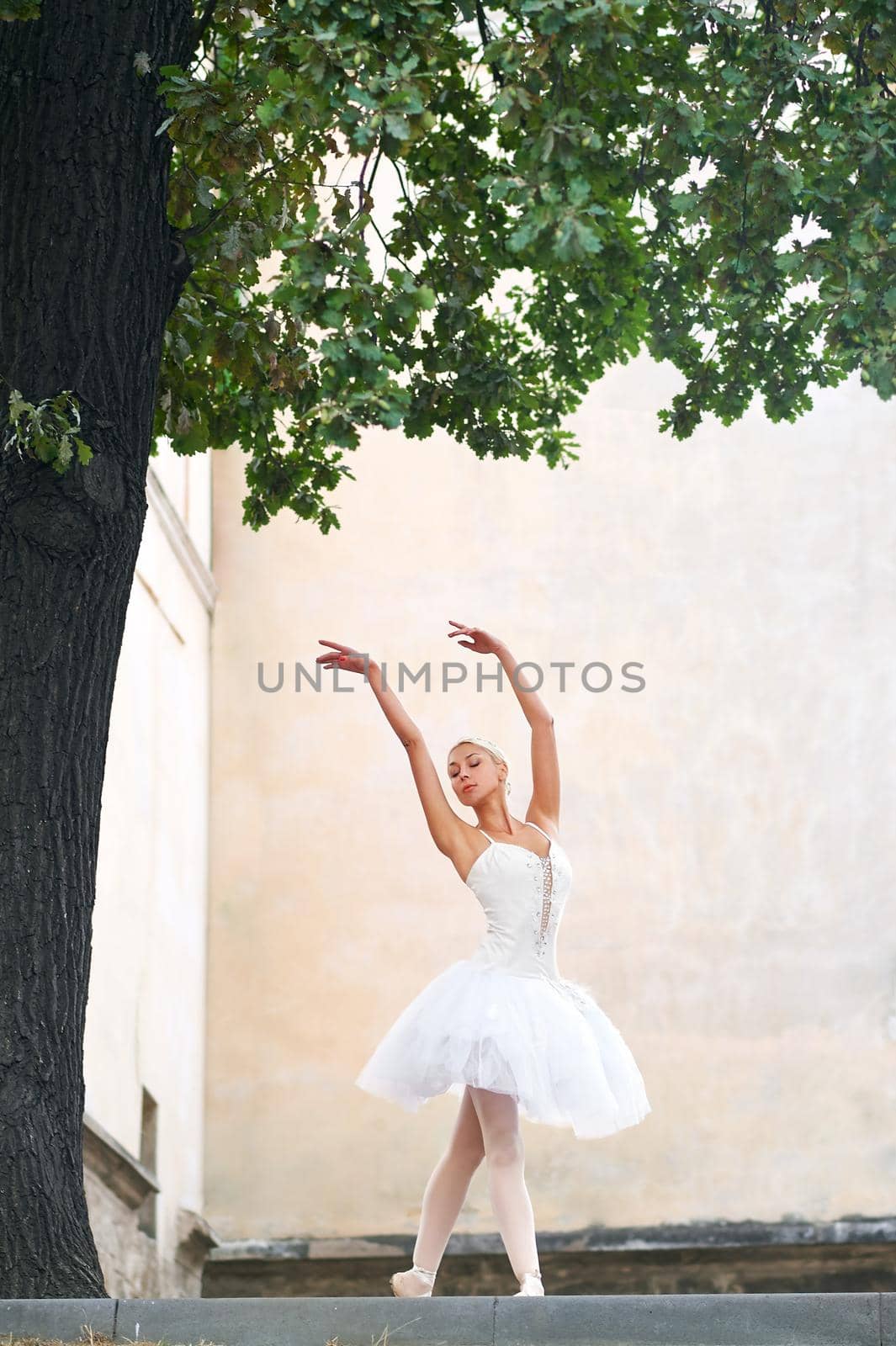 Vertical shot of a ballerina dancing outdoors under the big tree near the building.