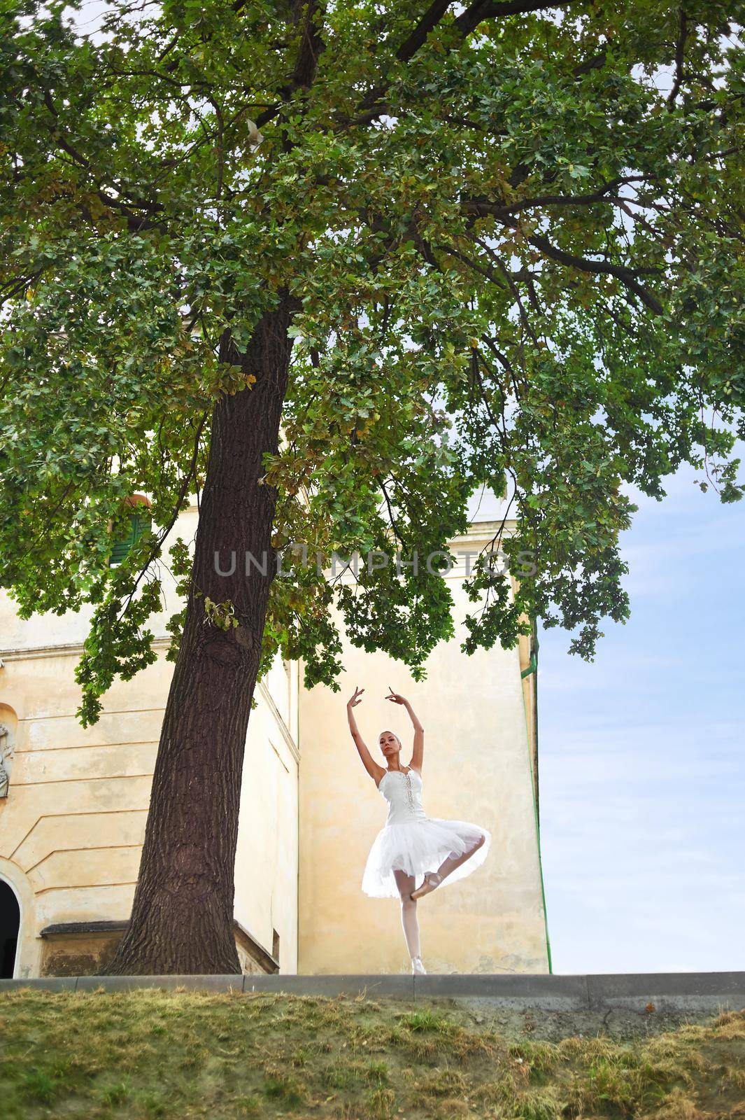 Shot of a professional ballerina dancing under the big tree outdoors beauty grace elegance sensuality femininity tenderness concept.