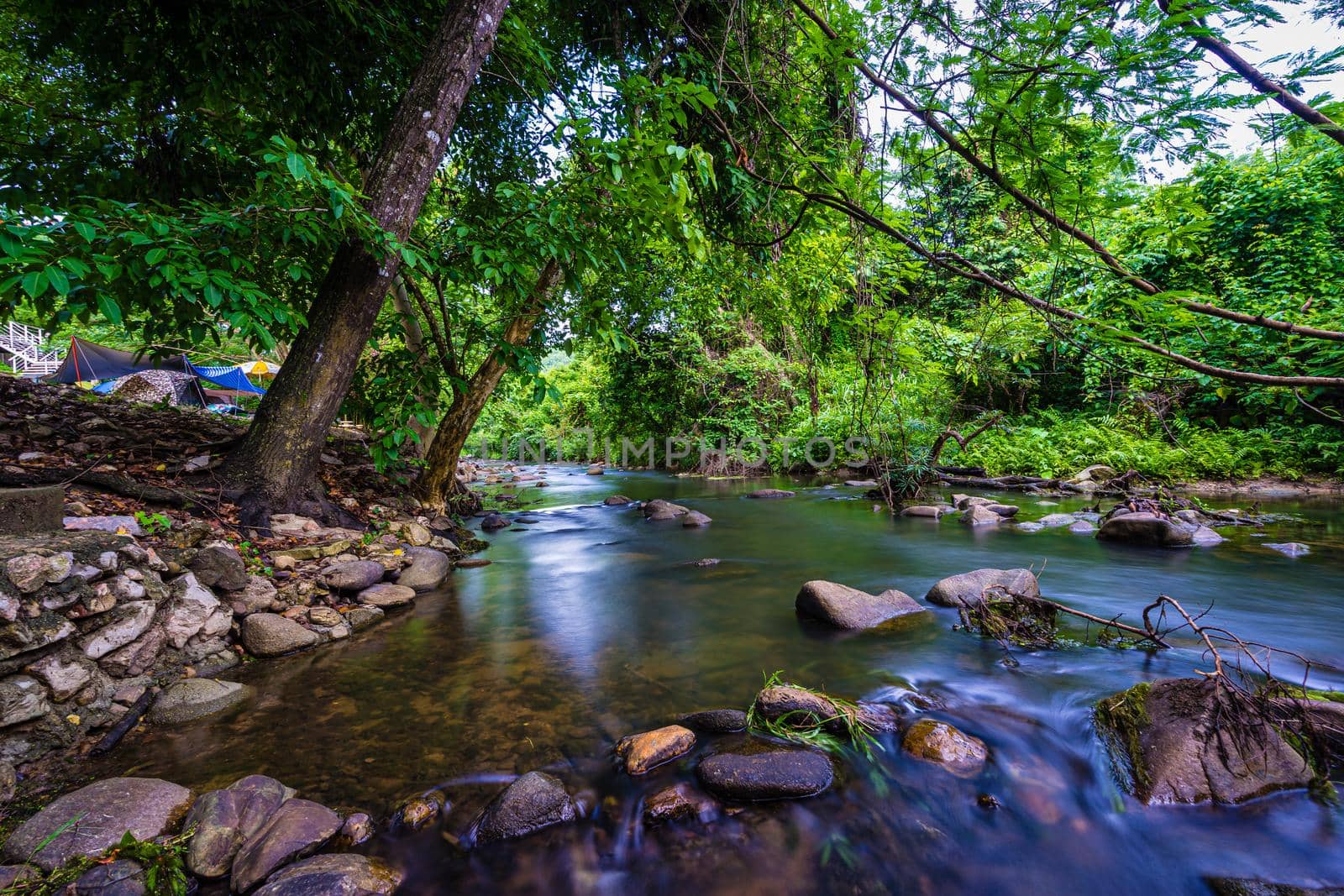 Camping and tent near the river in forest by domonite