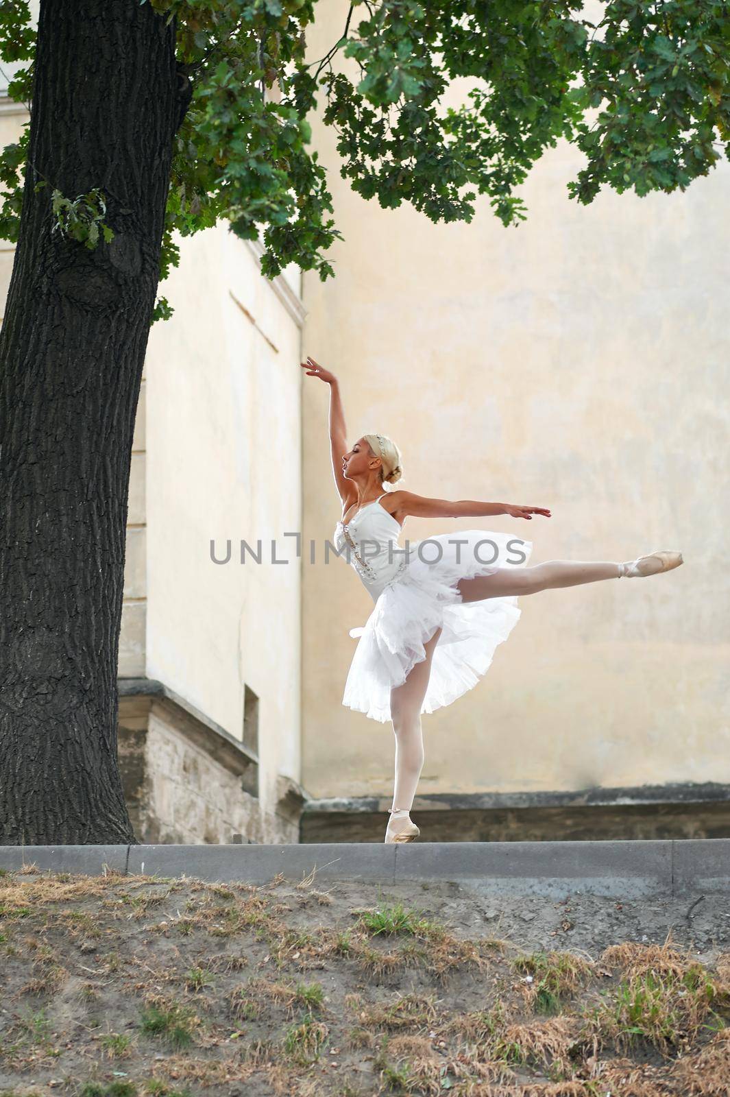 Beautiful graceful ballerina dancing on the streets of an old ci by SerhiiBobyk