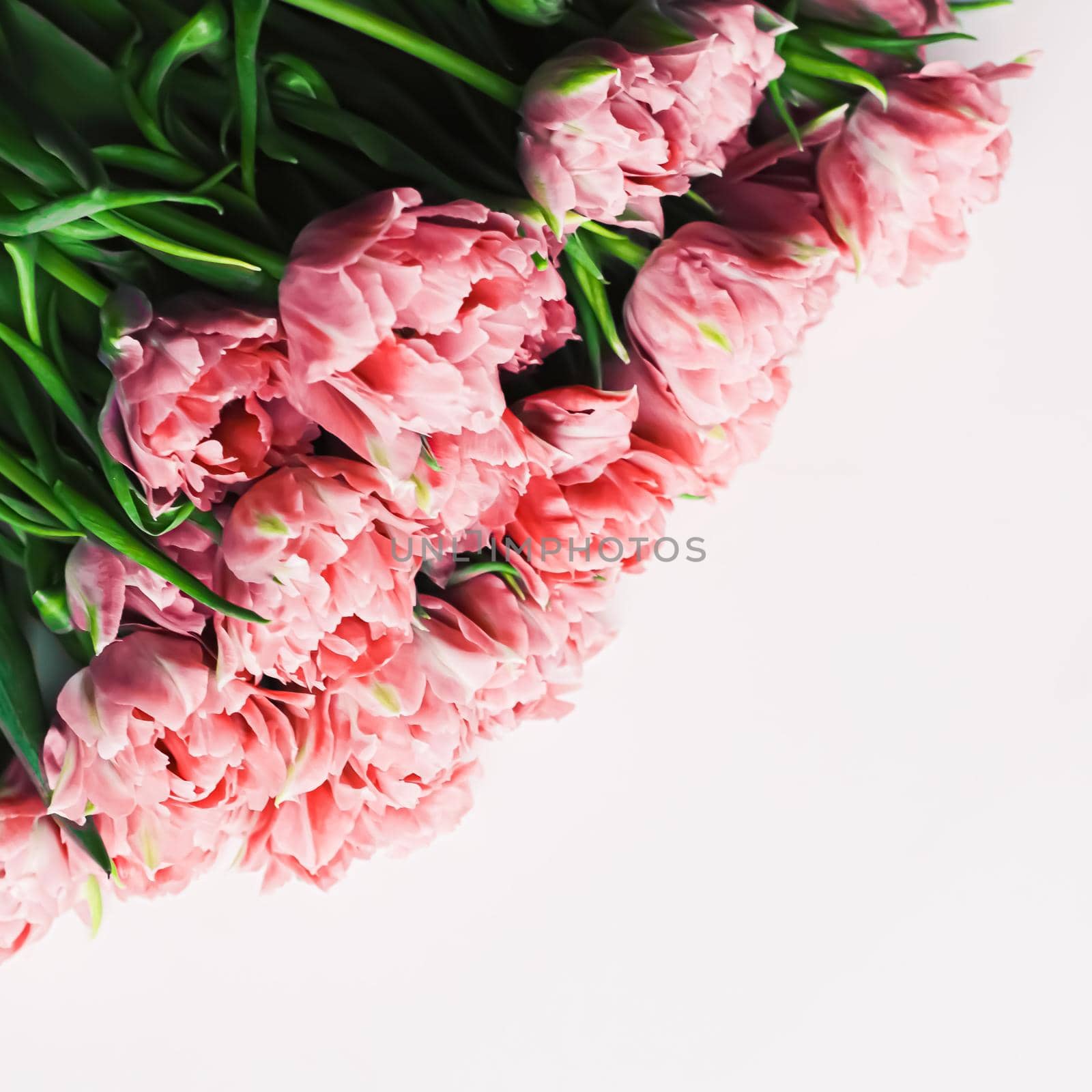 Spring flowers on marble background as holiday gift, greeting card and floral flatlay concept