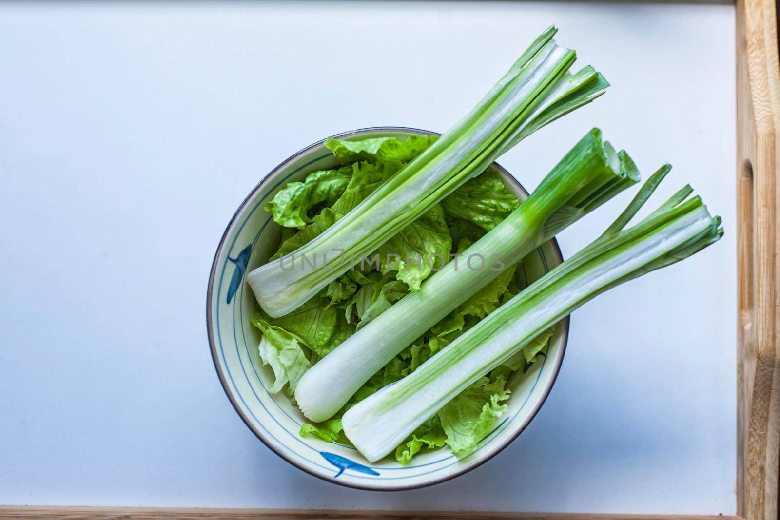 Green onion and lettuce in a bowl by zebra
