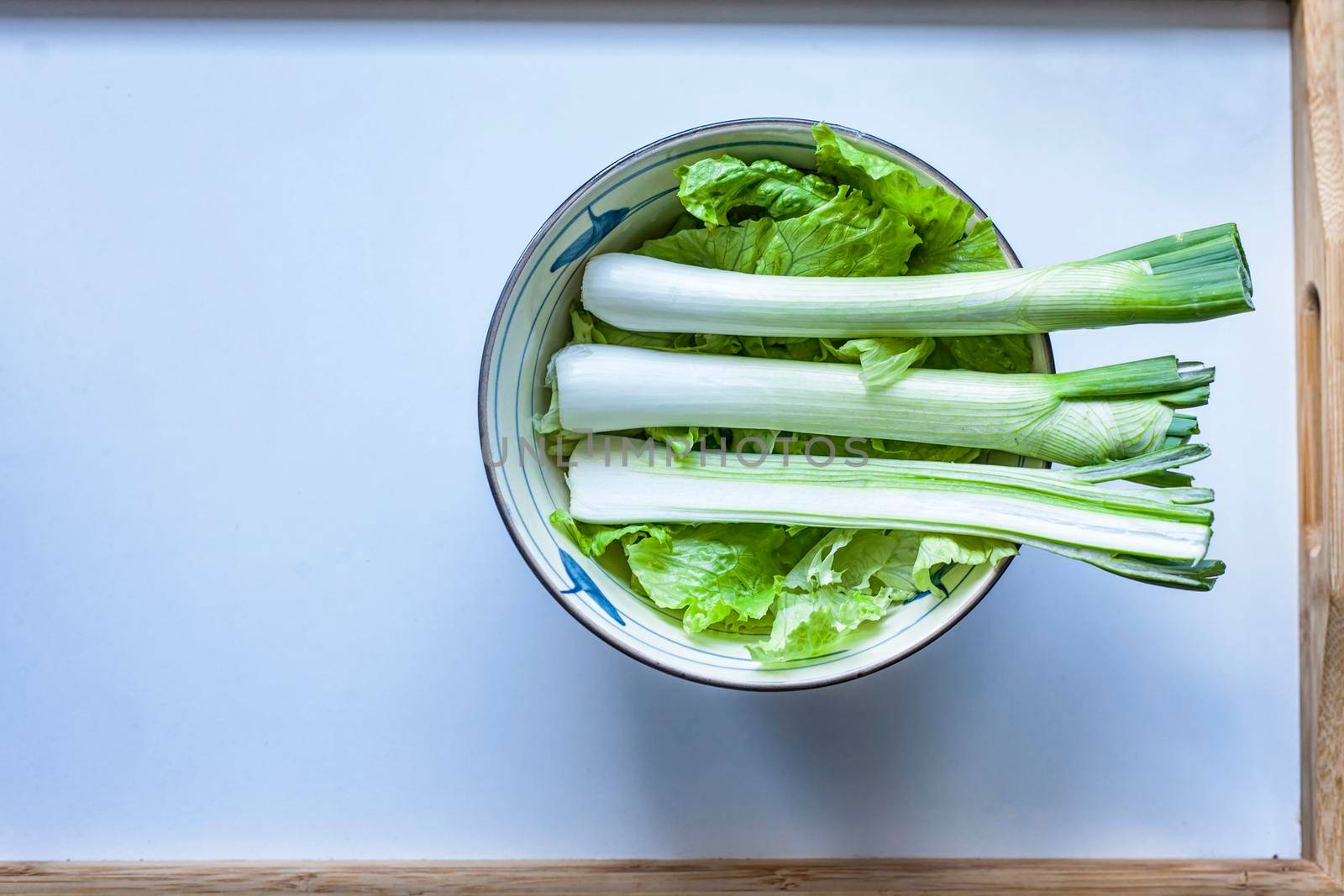 Green onion and lettuce in a bowl by zebra