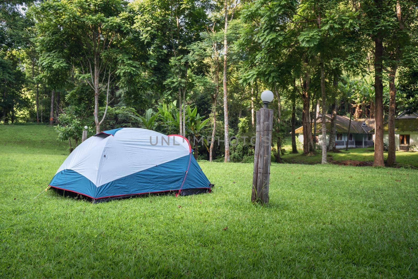 Camping Campsite and Tent on Green Grass Under The Trees Tropical Forest, Field Campground for Vacation Outdoors Leisure Activity and Adventure. Backpack Trekking Tourist Lifestyles, Travel Adventures