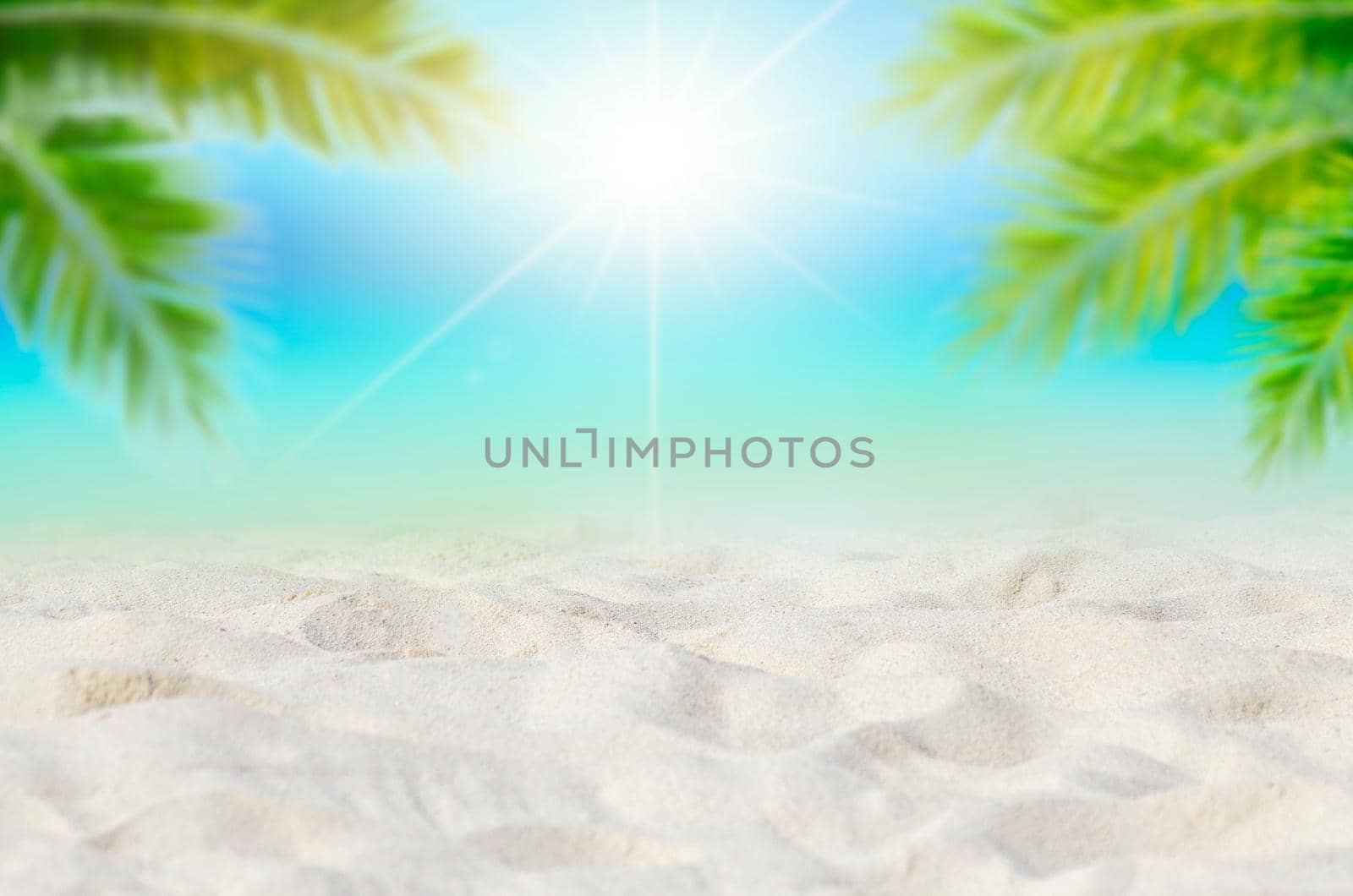 Summer vacation white sand beach with space for text coconut leaves rear frame sea view energetic floor
