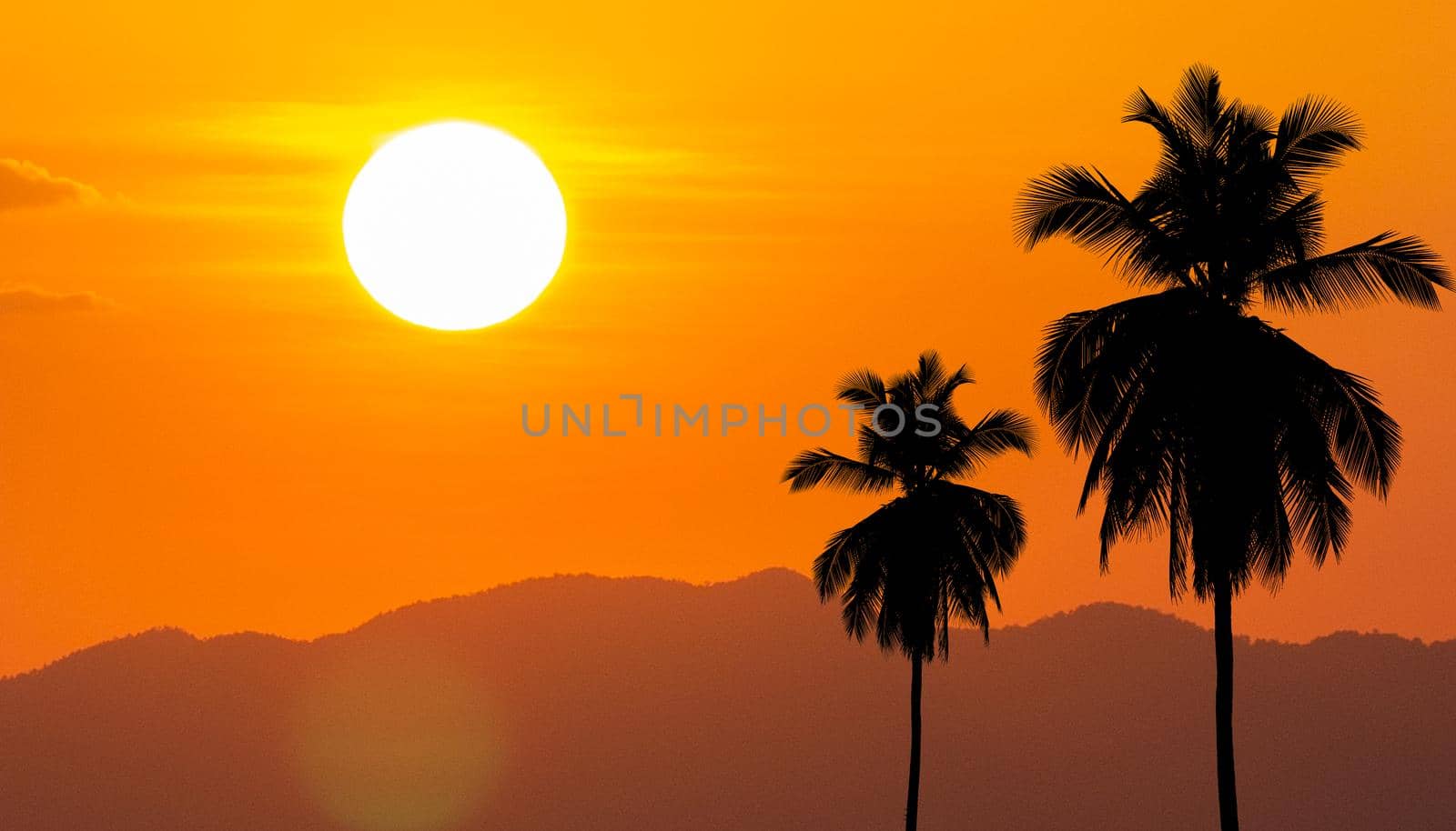 Summer with coconut trees in the corner against the big sun.