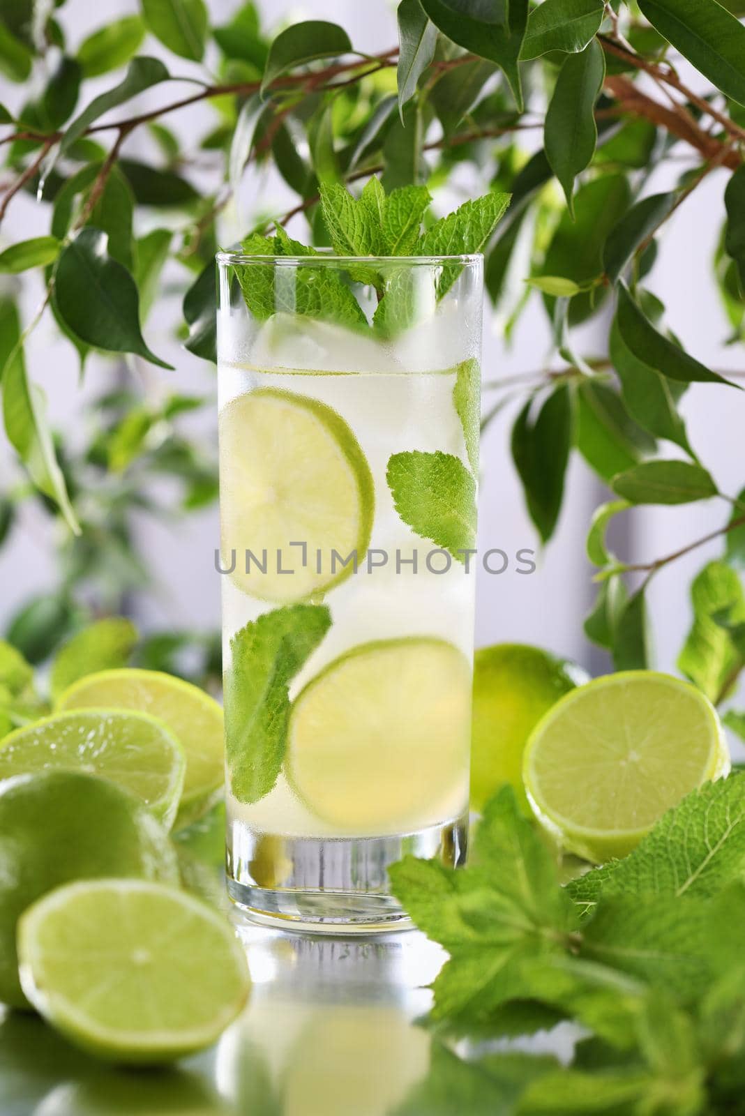 Refreshing organic Mojito cocktail made from fresh lime, white rum combined with fresh juice and mint. This is the perfect cocktail for summer days.