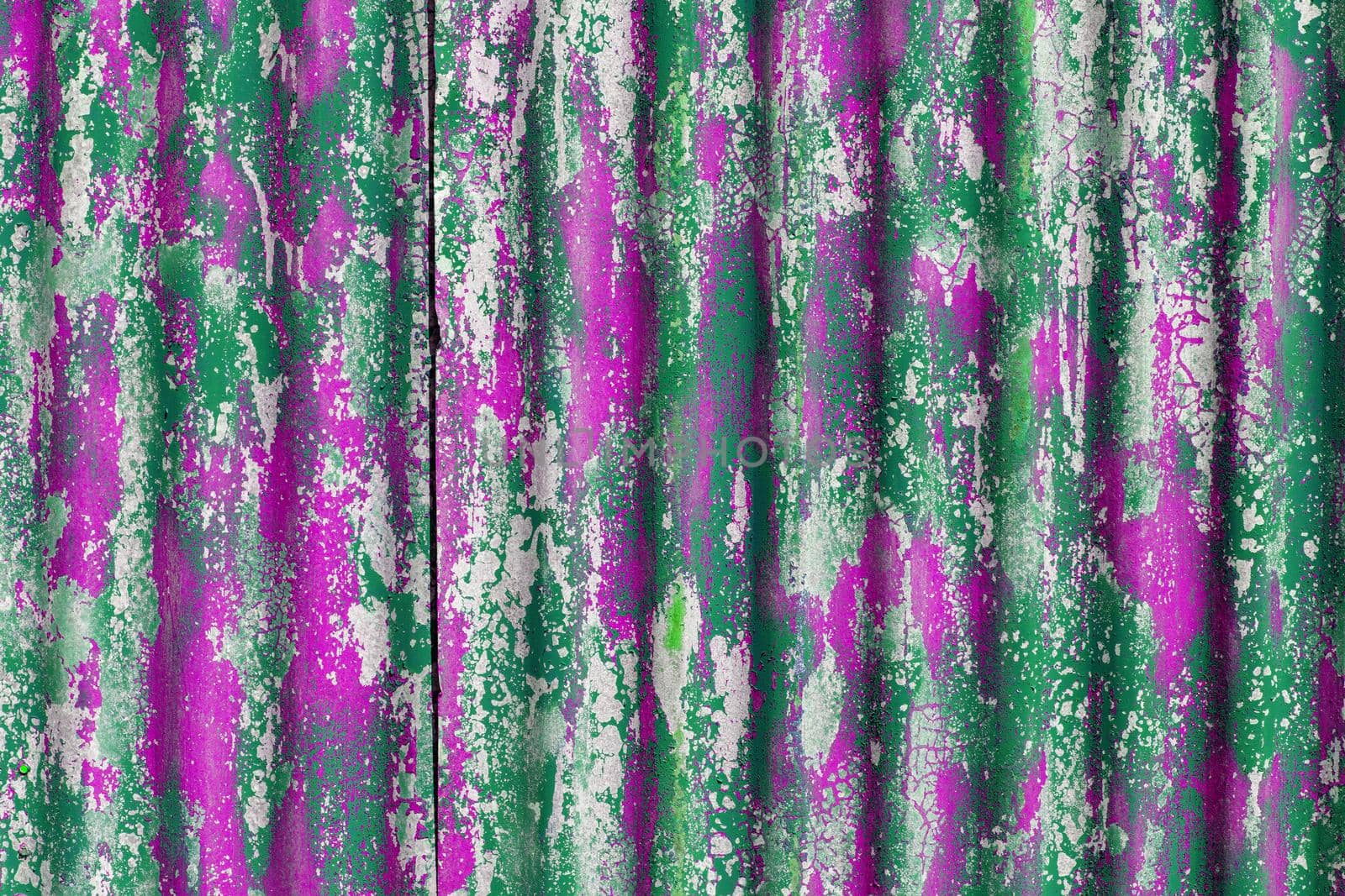 colorful motley peeled off green and pink paint layers on corrugated zinc coated steel sheet - full frame background and texture