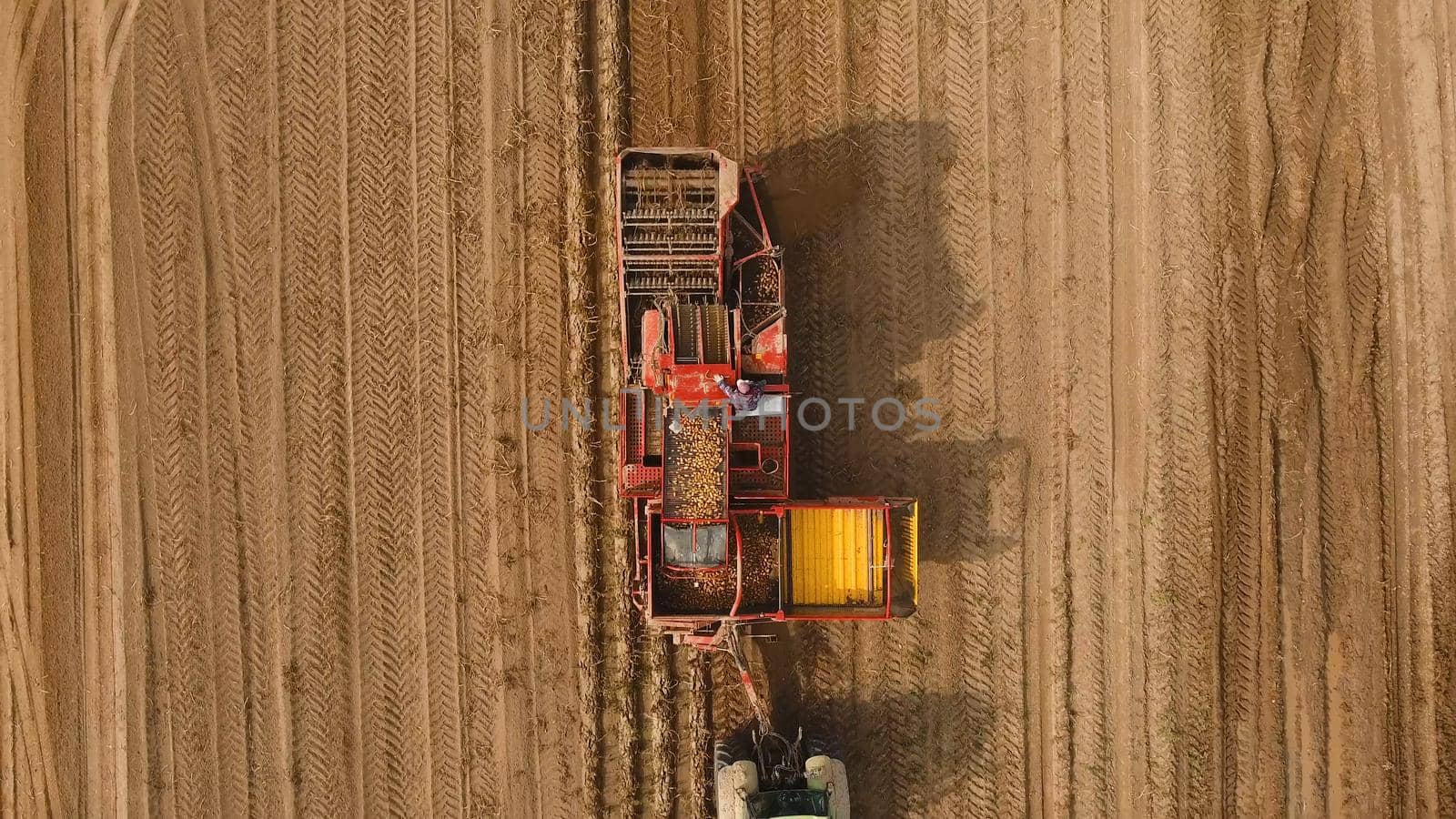 Farm machinery harvesting potatoes. Farmer field with a potato crop.