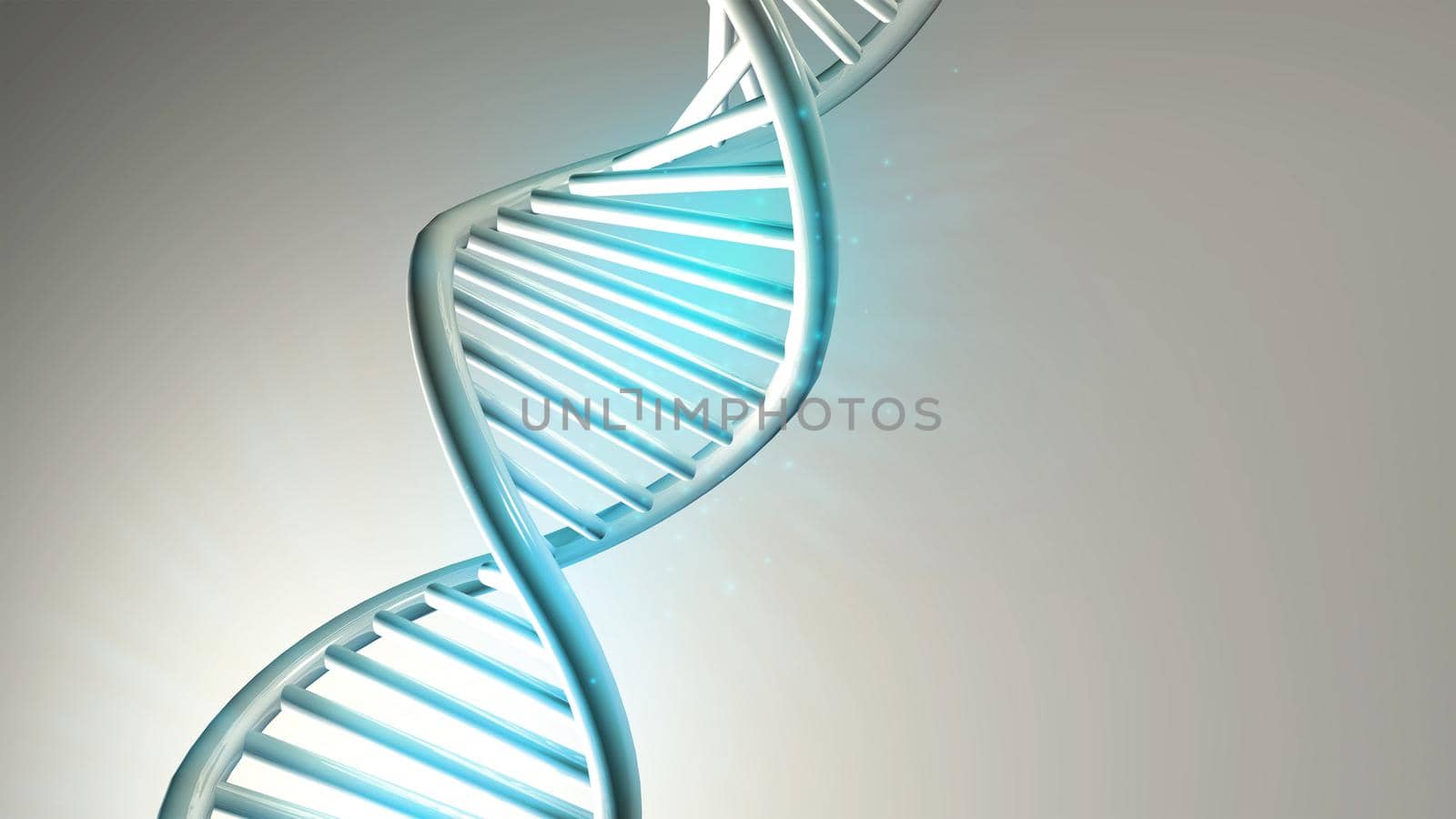 DNA double helix model on a light gray background, 3D render. by ConceptCafe