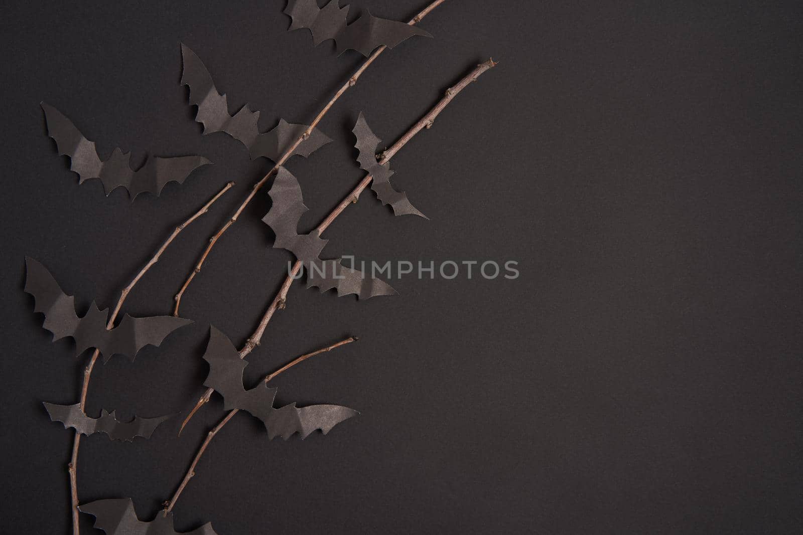 Halloween decoration concept black paper bats dry branch stick black cardboard background With copy space for tetxt