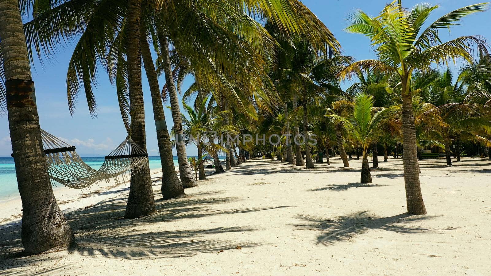 Tropical beach with with hammock and palm trees. Beautiful beach and tropical sea. Panglao island, Bohol, Philippines. Summer and travel vacation concept.