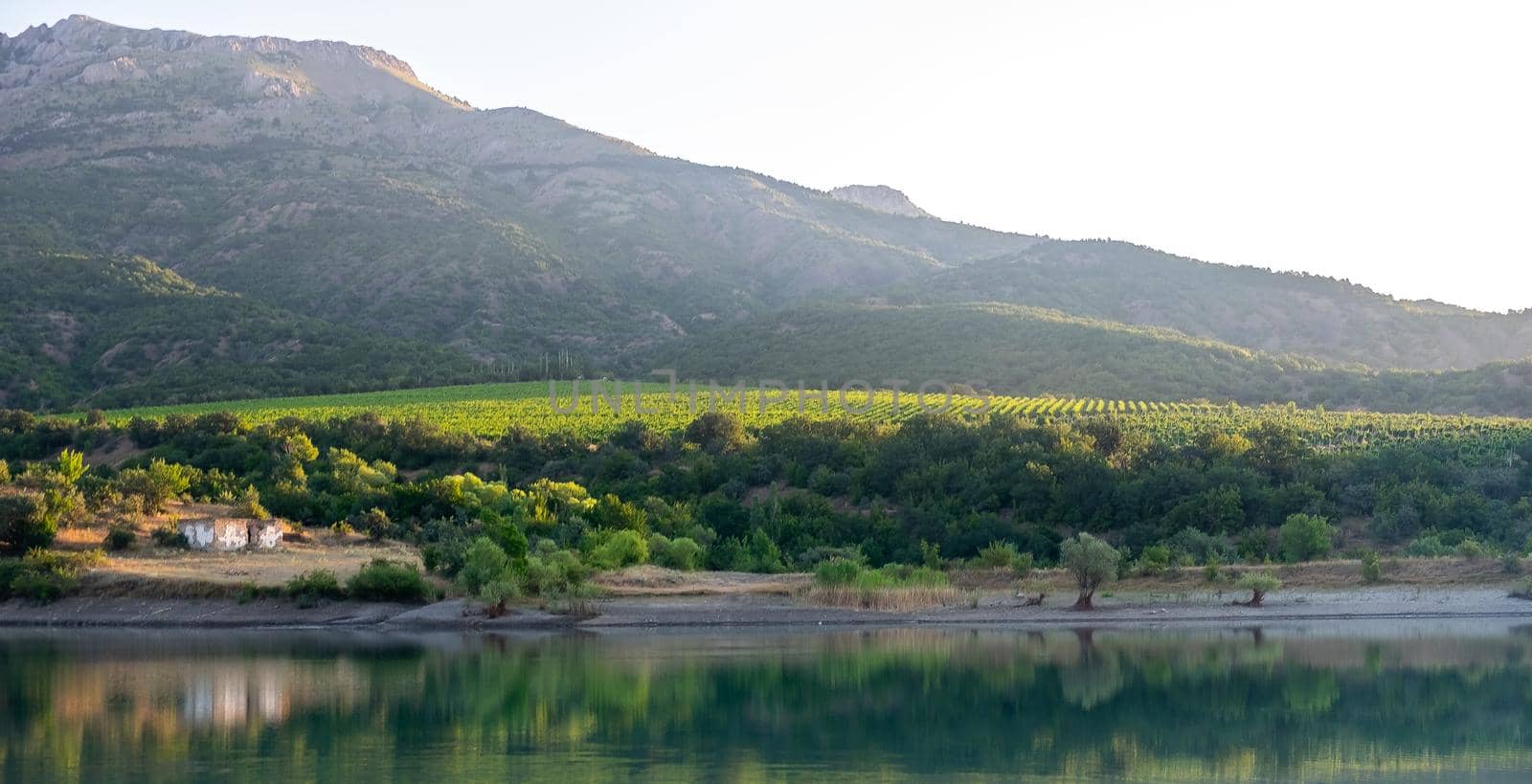 Vineyards surrounded by rocky mountains in the early morning next to a mountain lake.