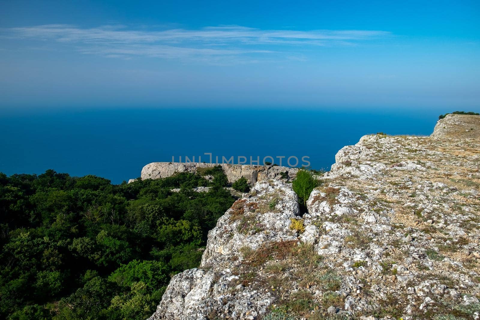 Mediterranean landscape. Forested rocks of the Black Sea coast of the southern coast of the Crimean Peninsula on a clear sunny day.