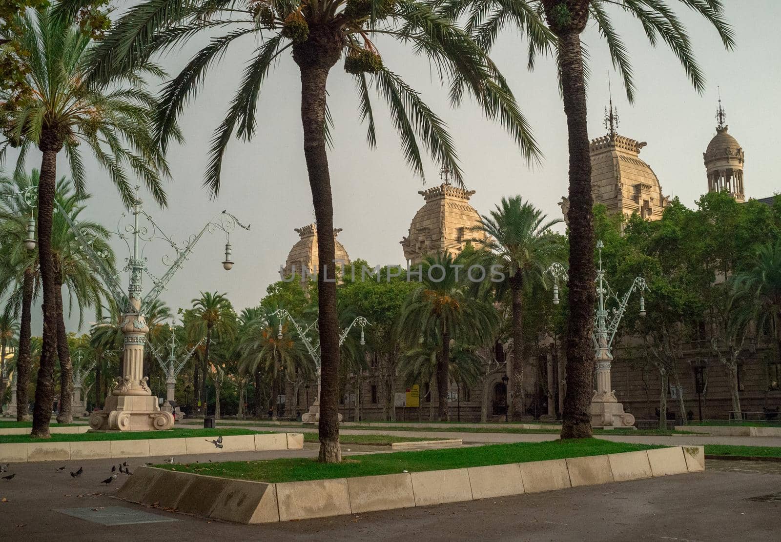 September 8, 2014, Barcelona, Spain. Palm trees in the park at Passeig de Lluis Companys in the capital of Catalonia