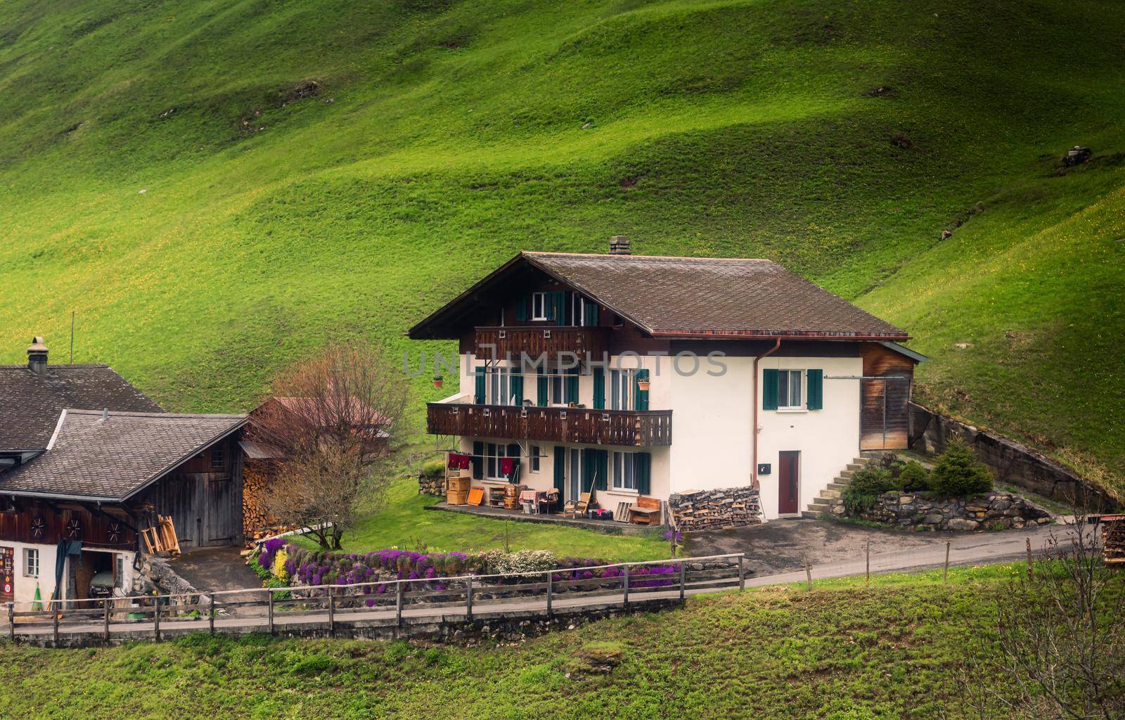 Countryside Valley View of Swiss Alps With Traditional Swiss House at Zermatt City, Switzerland. Rural Scenic and Amazing Nature Green Fields of Alpine Switzerland. Europe Travel Vacation in Spring