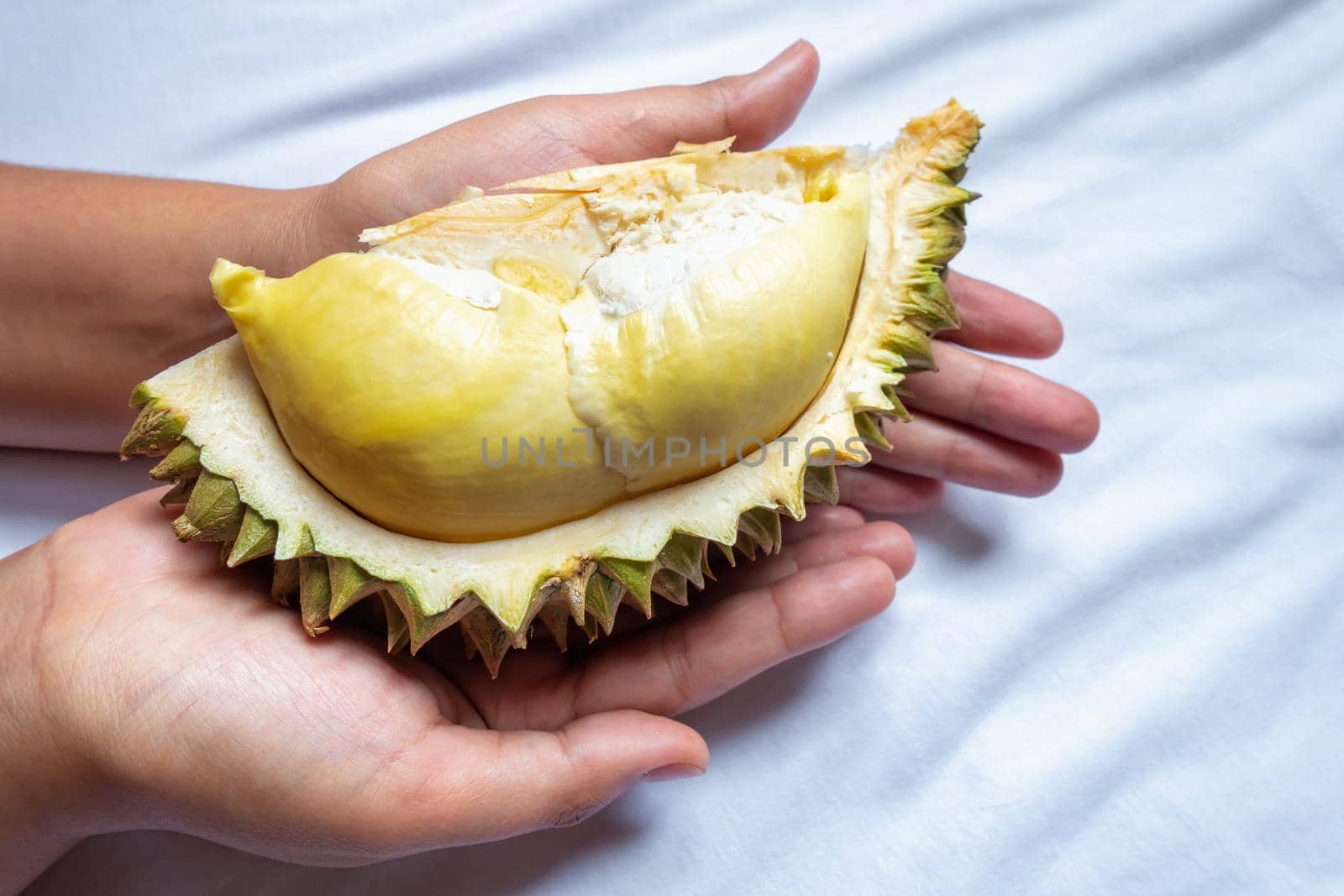 Close-up of Female Hands is Holding a Pice of Durian Fruit on Isolated Fabric Pattern Background, Durians Monthong Tropical Fruits of Thailand. by MahaHeang245789