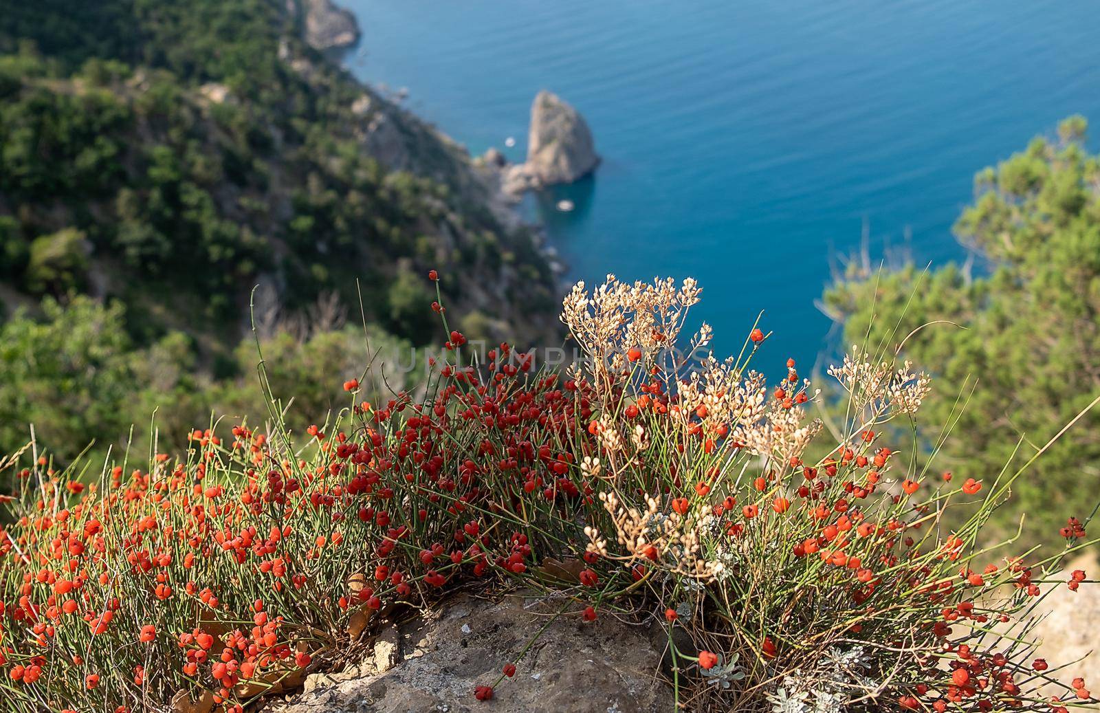 Landscapes of the Crimea peninsula by fifg