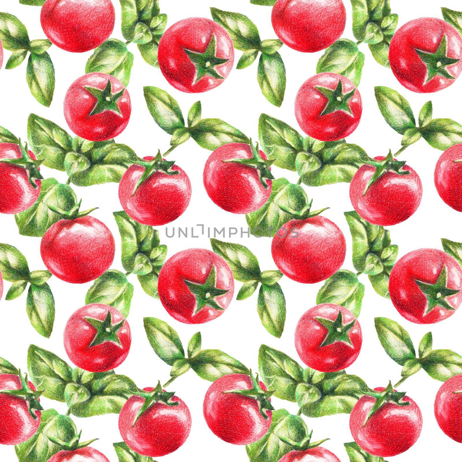 Cherry tomatoes and basil by color pencils by Olatarakanova