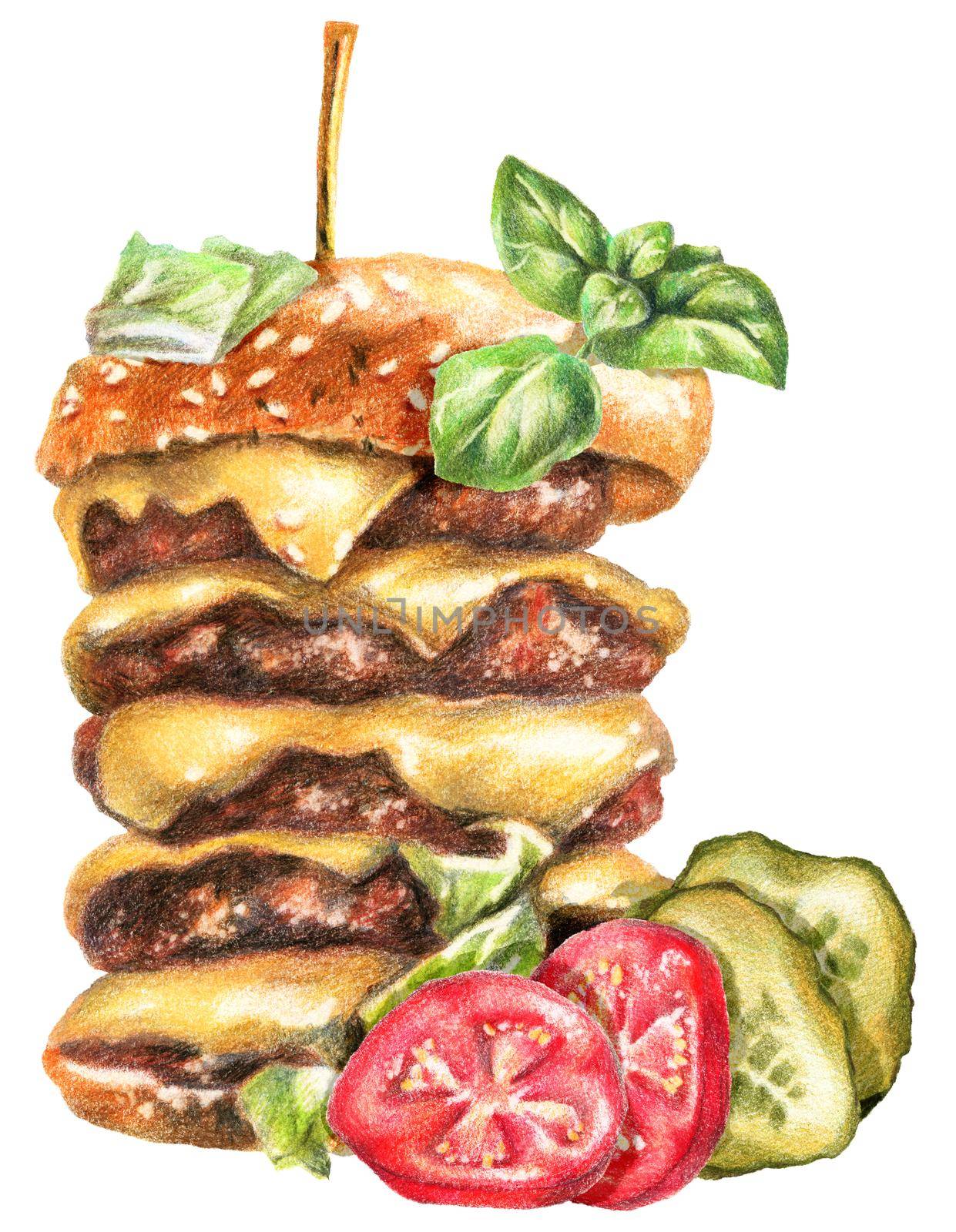 Color pencils realistic food illustration of burger, tomatoes and cucumber slices. Hand-drawn object on white background.