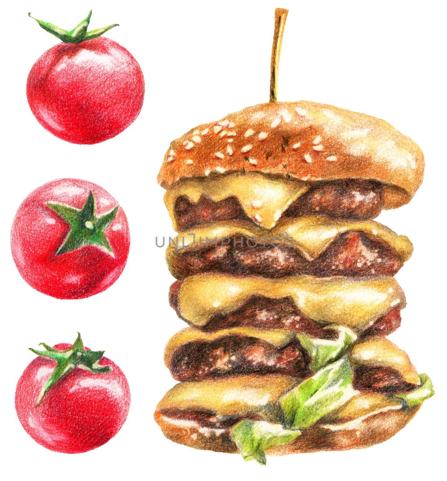 Color pencils realistic food illustration of burger and cherry tomatoes. Hand-drawn objects on white background.