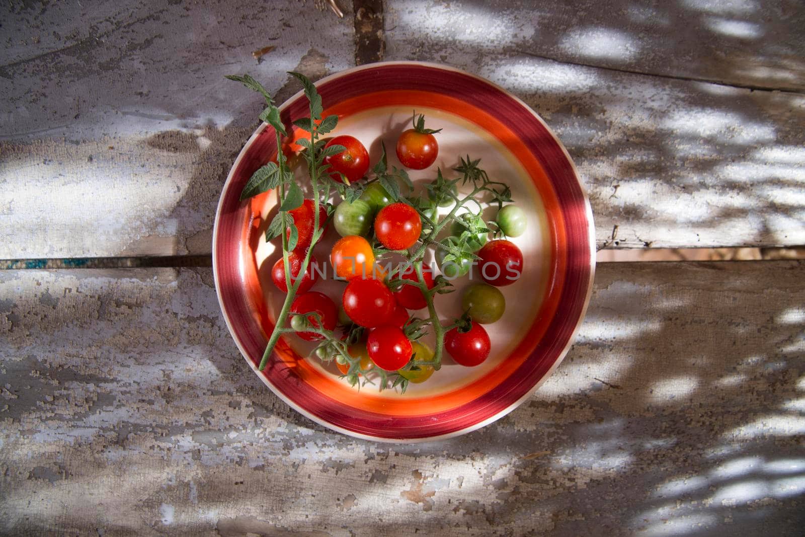 Fresh cherry tomatoes by fotografiche.eu