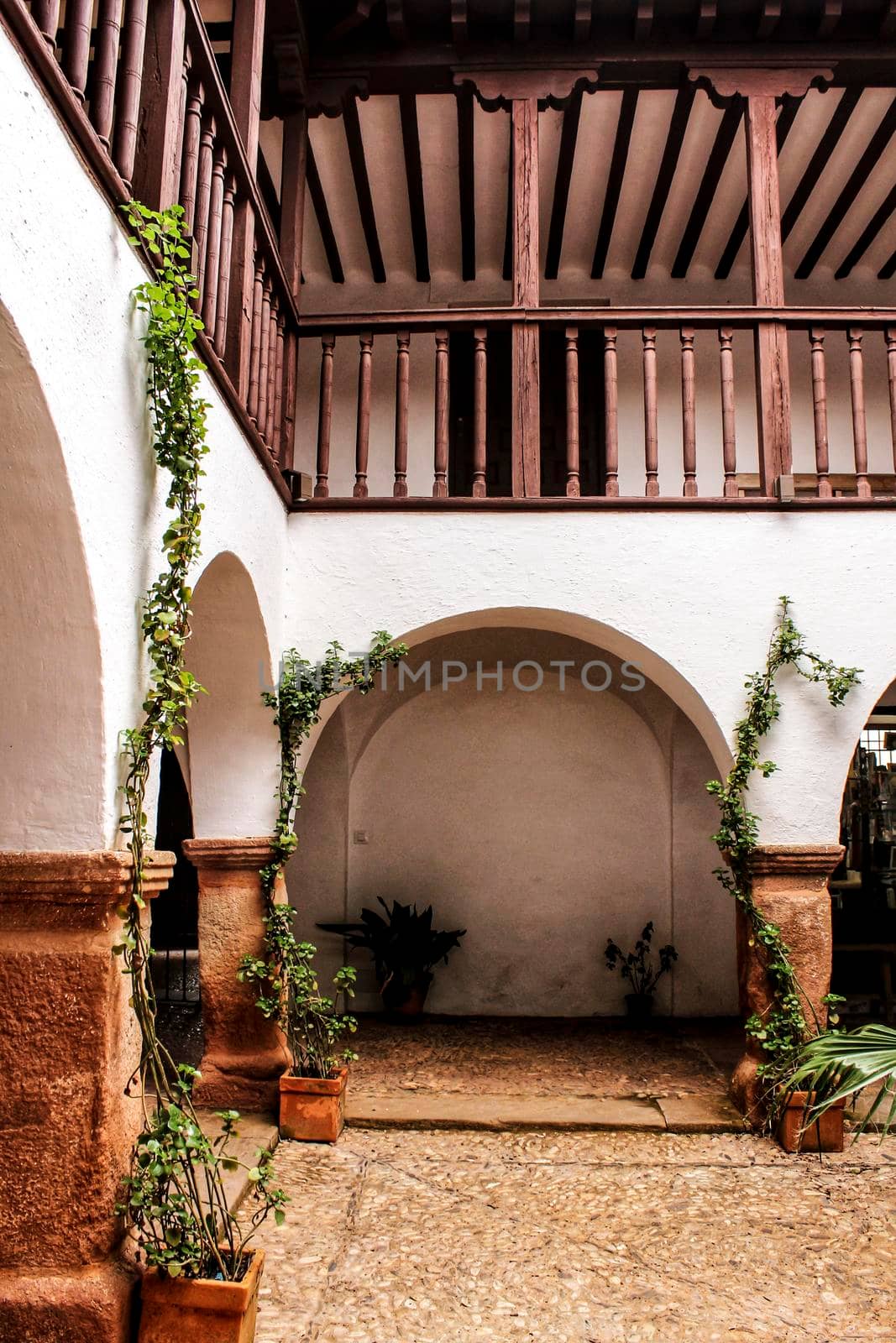 Courtyard of a typical house in Villanueva de los Infantes , Castilla la Mancha, Spain