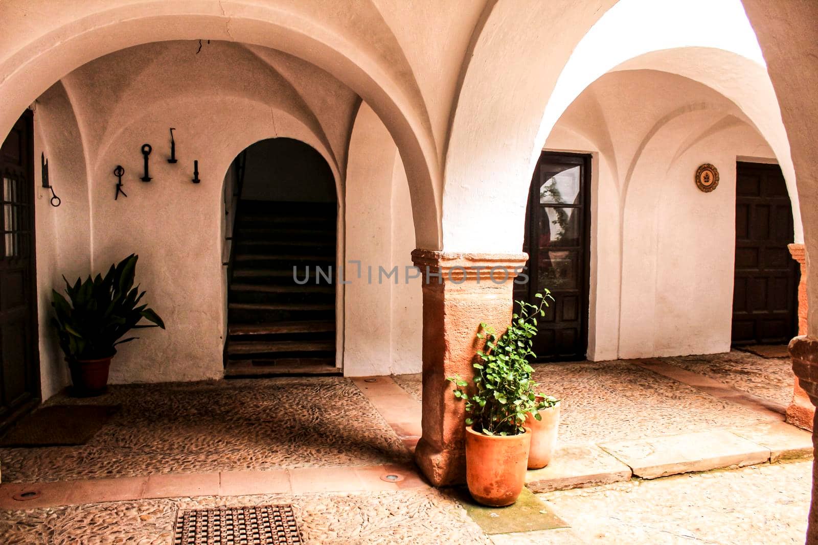 Courtyard of a typical house in Villanueva de los Infantes , Castilla la Mancha, Spain