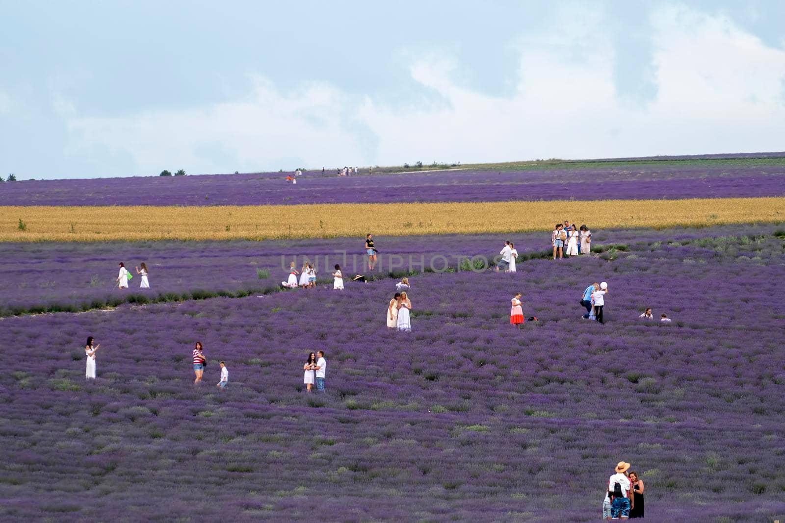 Turgenevka, Crimea-June 24, 2021: Lavender field with lots of people