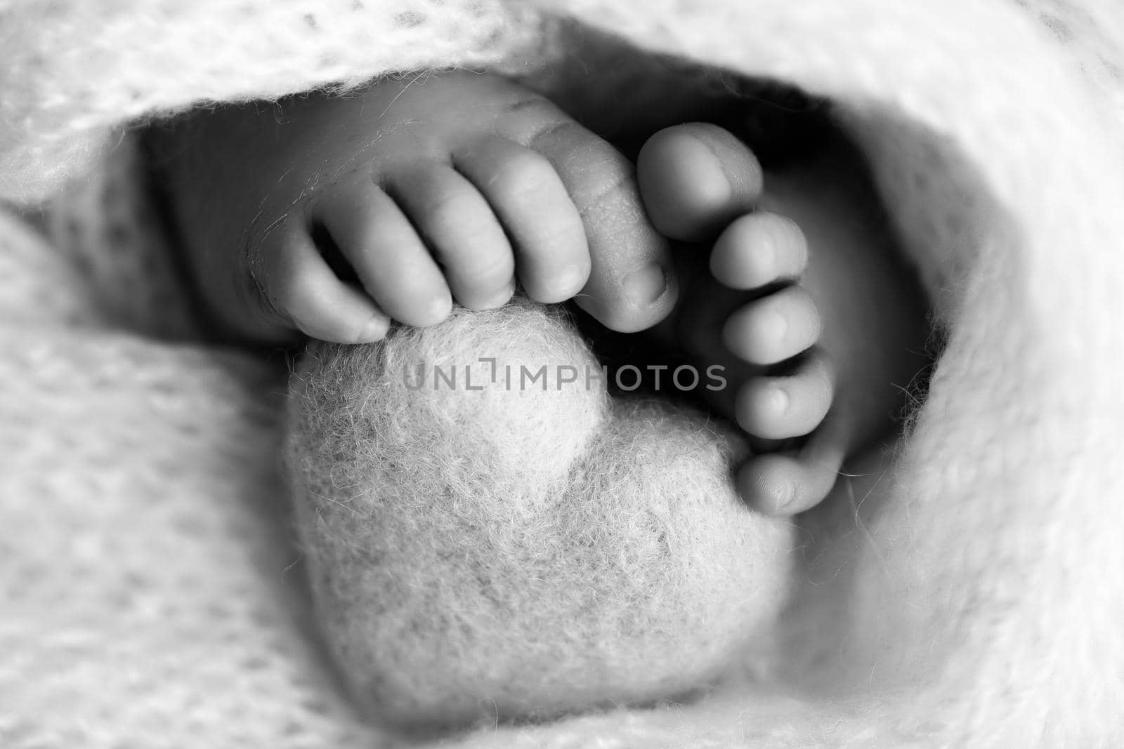 Feet of a newborn with a woolen heart, wrapped in a soft blanket. Black and white studio photography. High quality photo