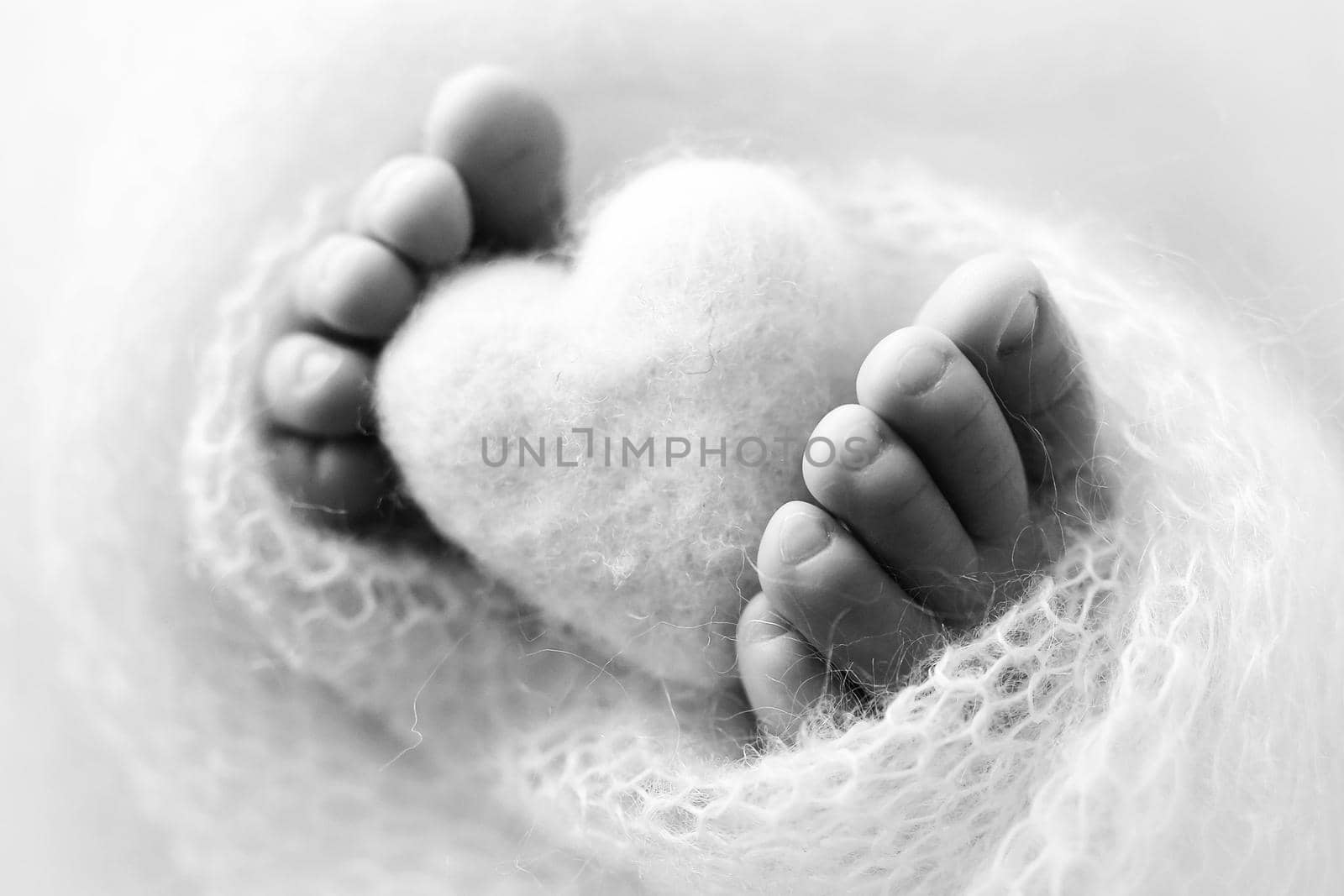 Feet of a newborn with a wooden heart, wrapped in a soft blanket. Black and white studio photography. by Vad-Len