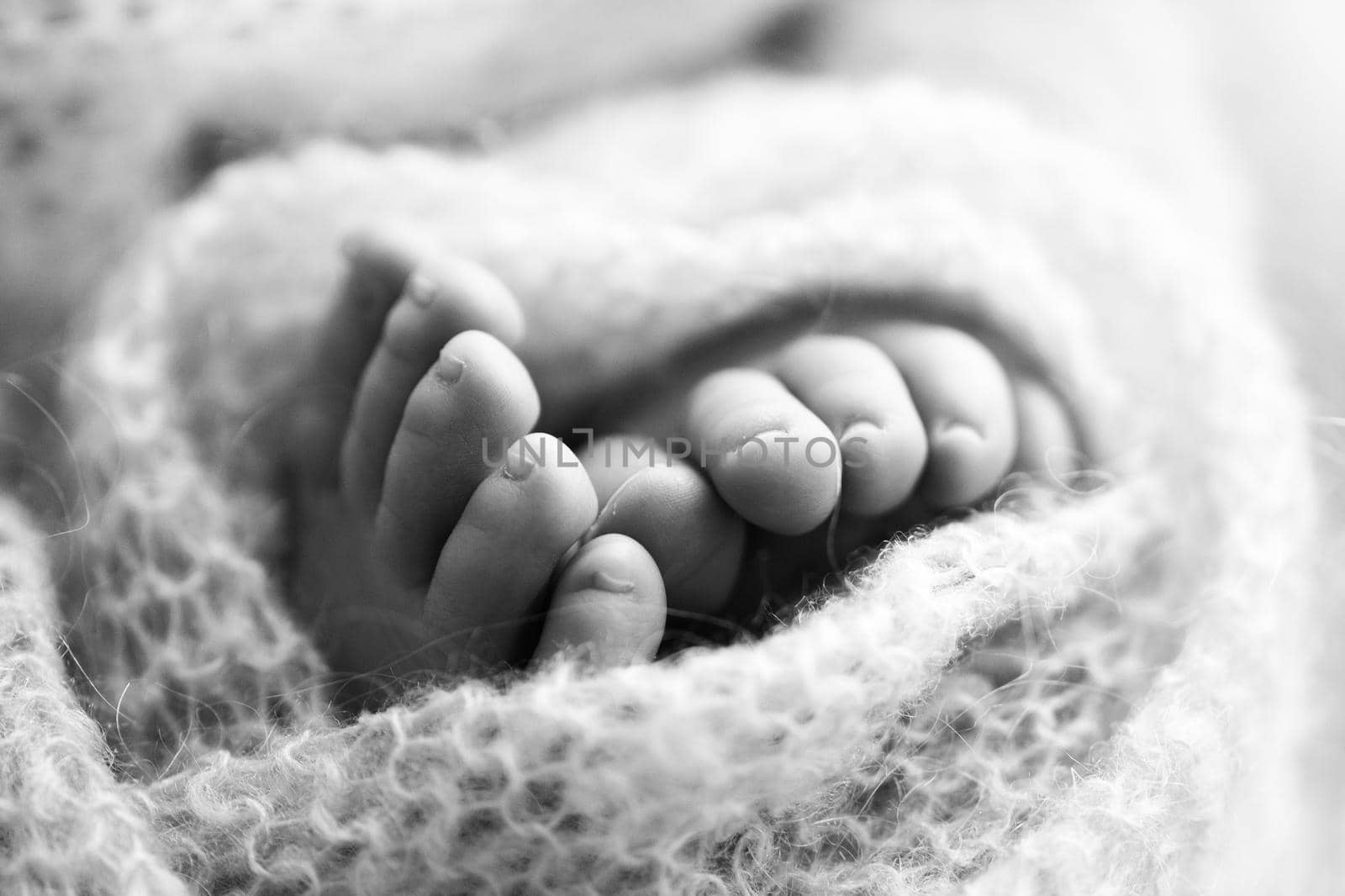Photo of the legs of a newborn. Baby feet covered with wool isolated background. The tiny foot of a newborn in soft selective focus. Black and white image of the soles of the feet. by Vad-Len