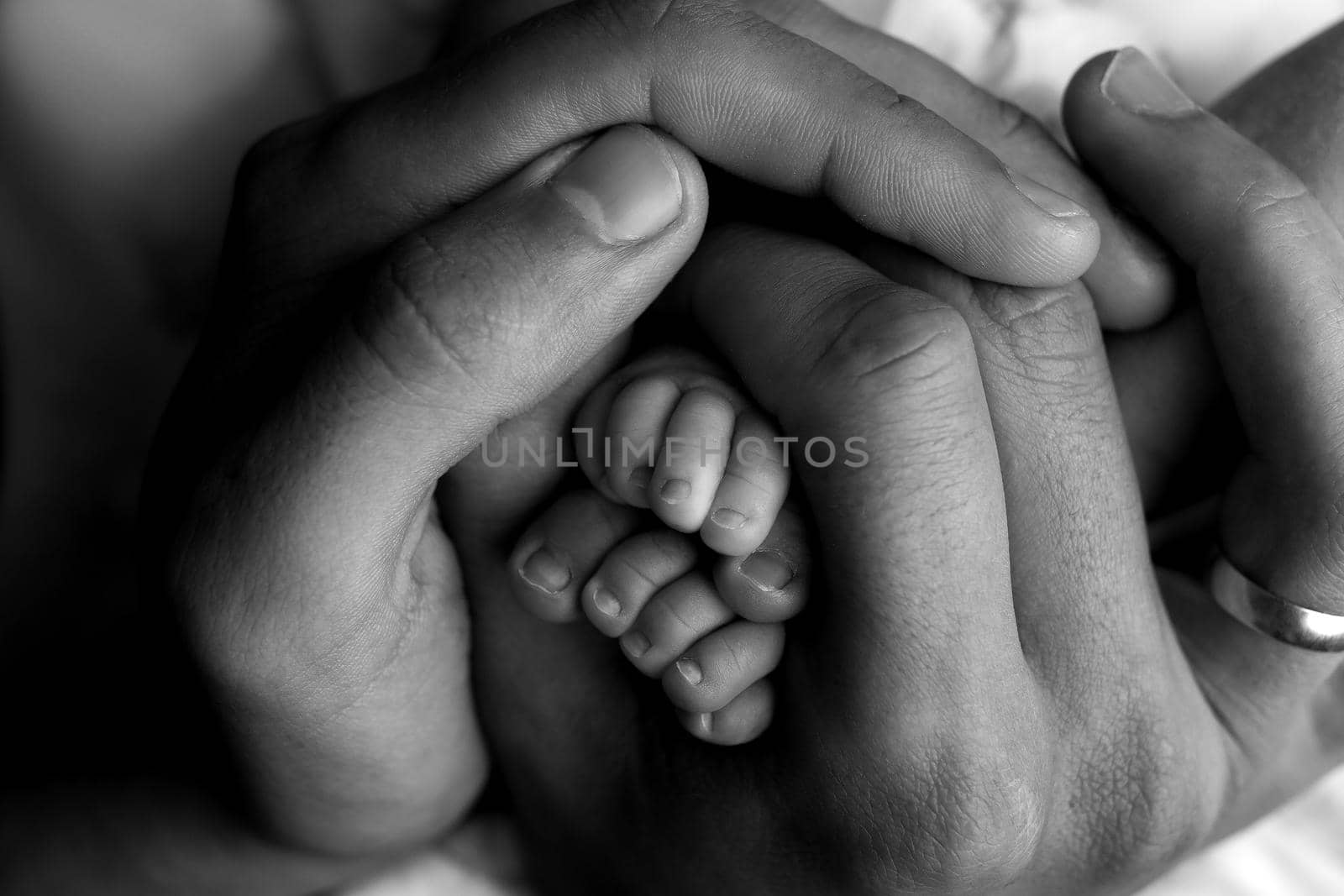 Father's hands hold the little feet of the newborn. Black and white photo. High quality photo