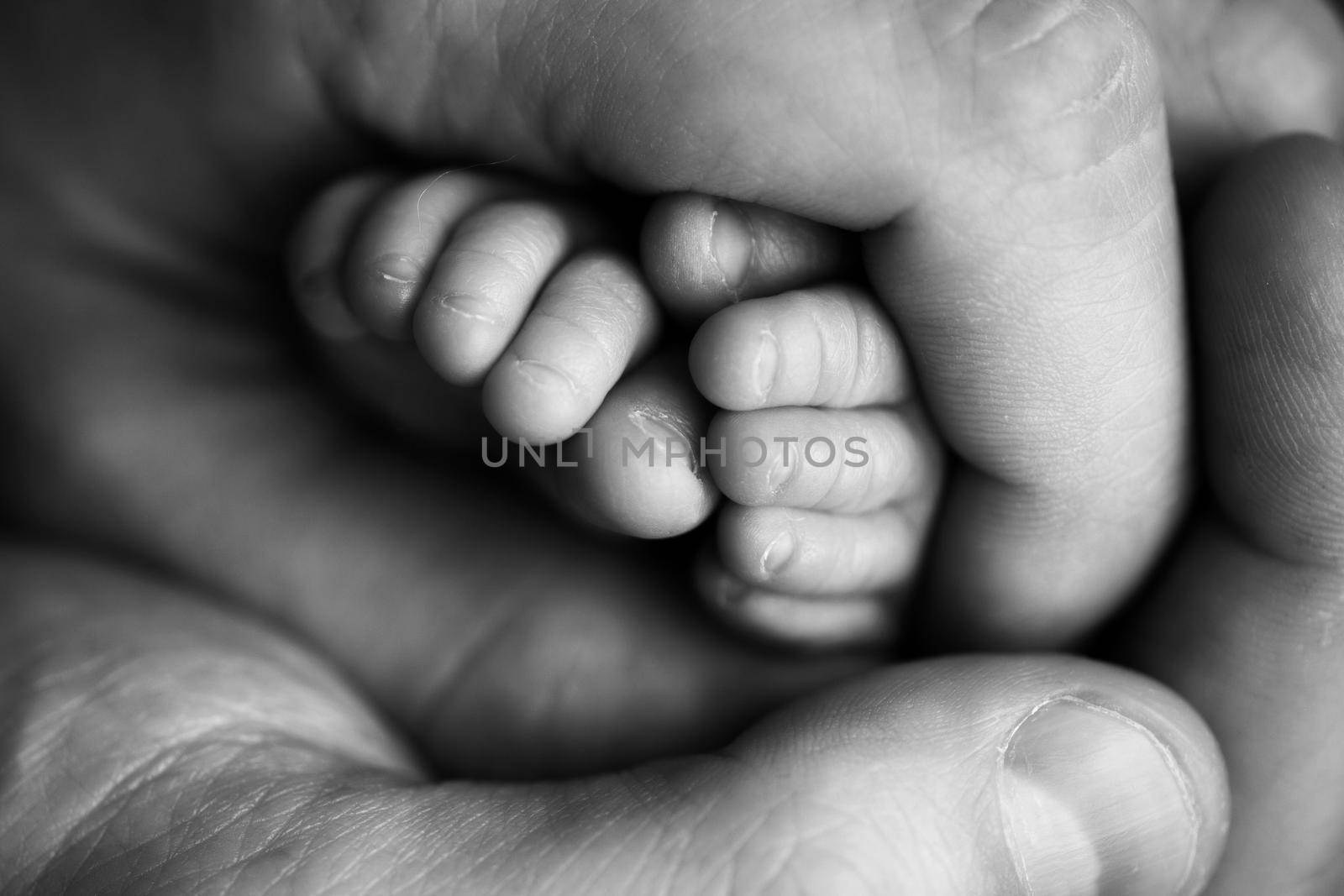 Children's feet in hold hands of mother and father on white. Mother, father and newborn Child. Happy Family people concept. Black and white. by Vad-Len