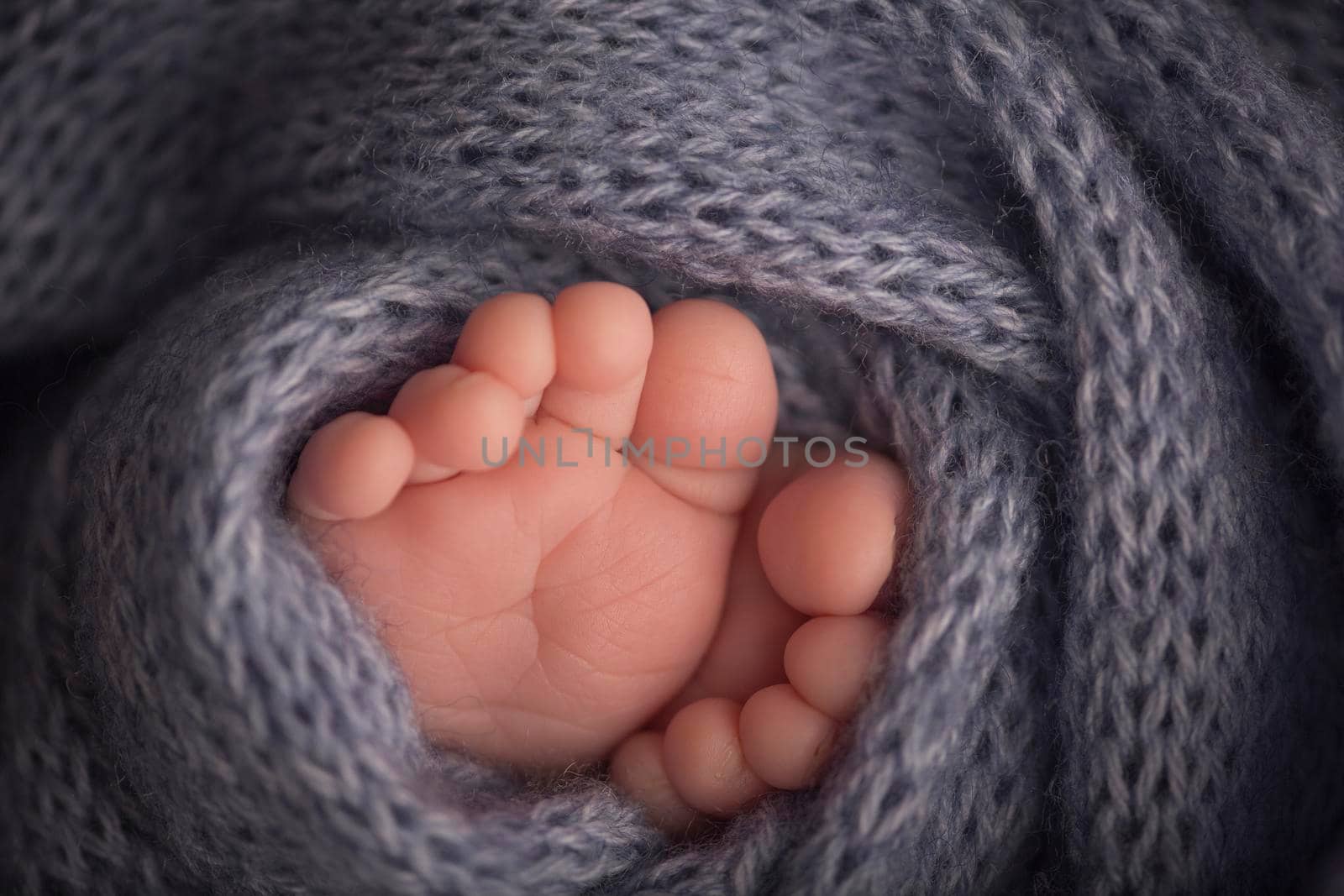 Two cute tiny legs, wrapped in a gray knitted blanket. High quality photo