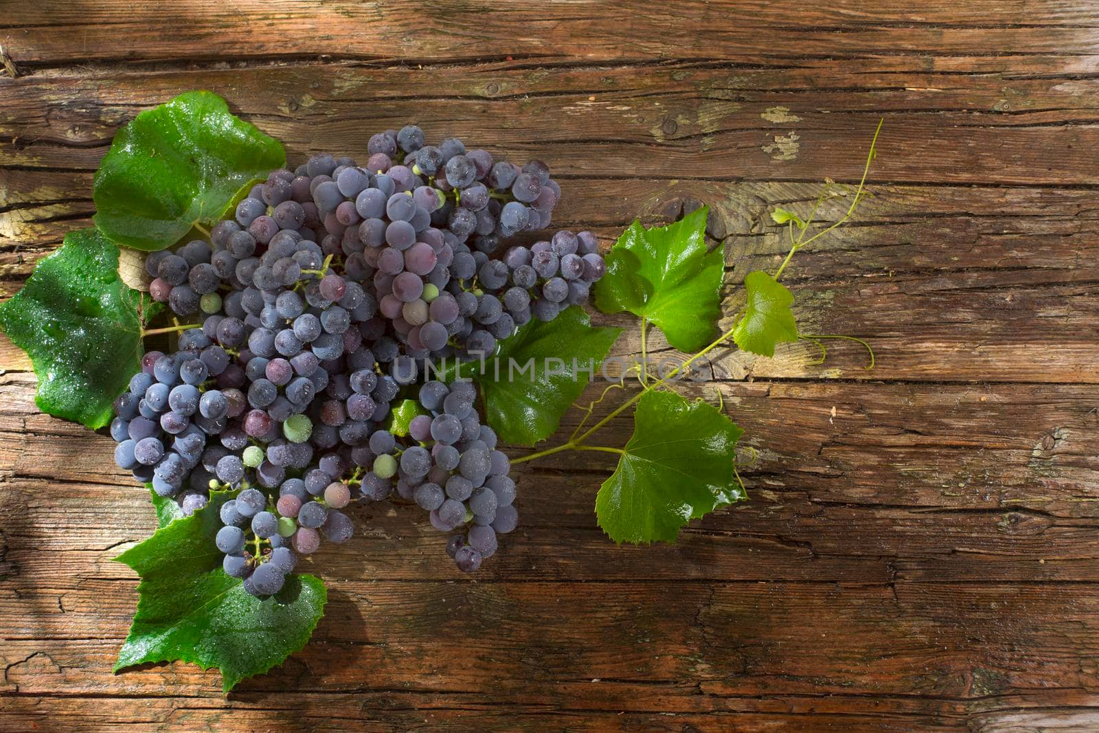 Late summer fruits, collection of black grape strawberry