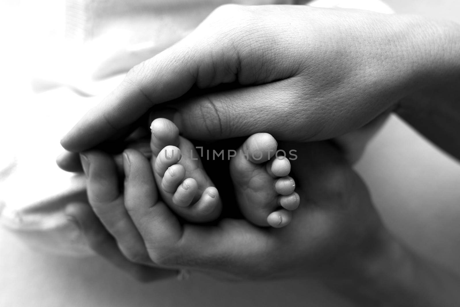 Feet of a newborn in the hands of a father, parent. Studio photography, black and white. Happy family concept. by Vad-Len