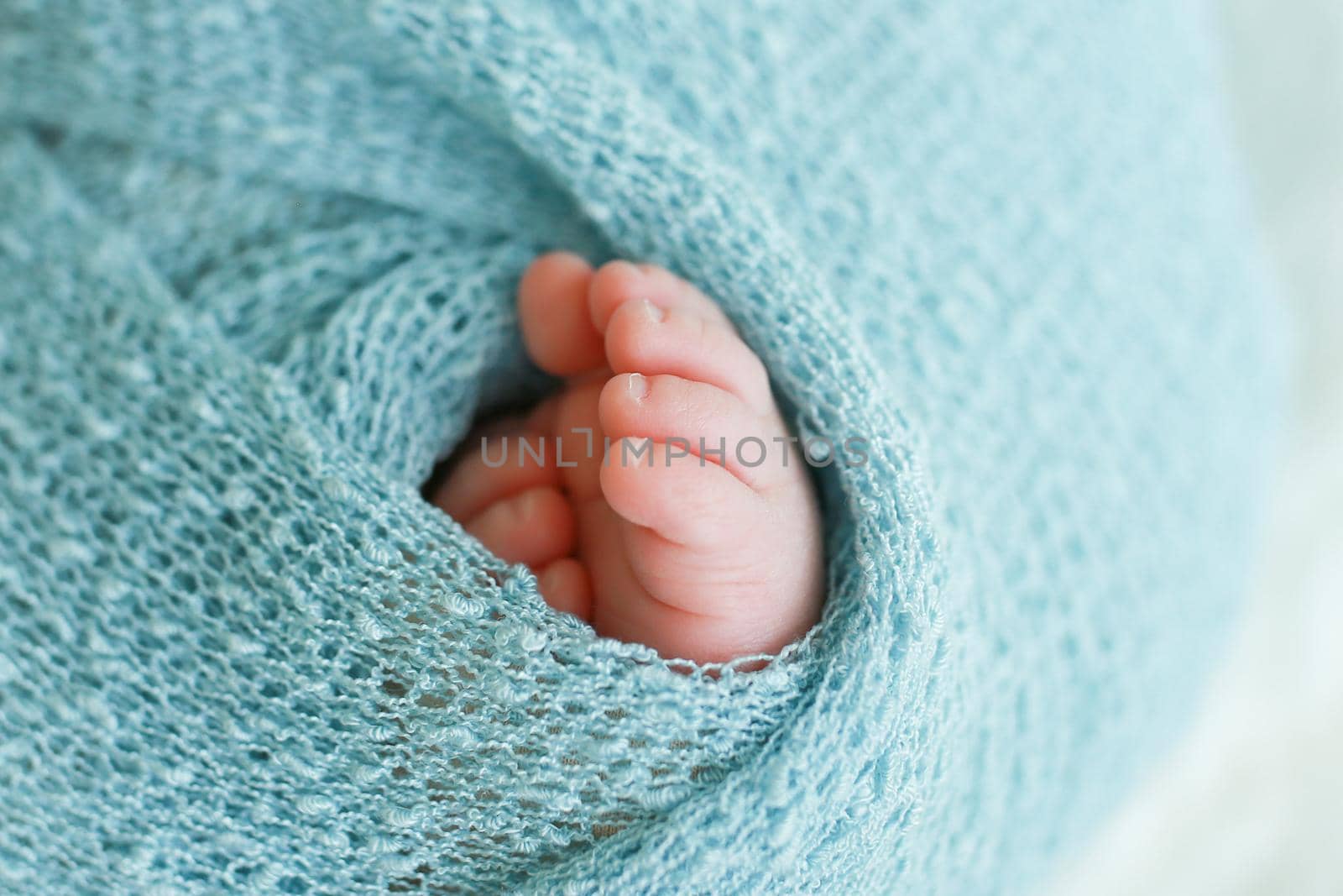 Two cute tiny baby feet wrapped in a blue-green aqua knitted blanket. High quality photo