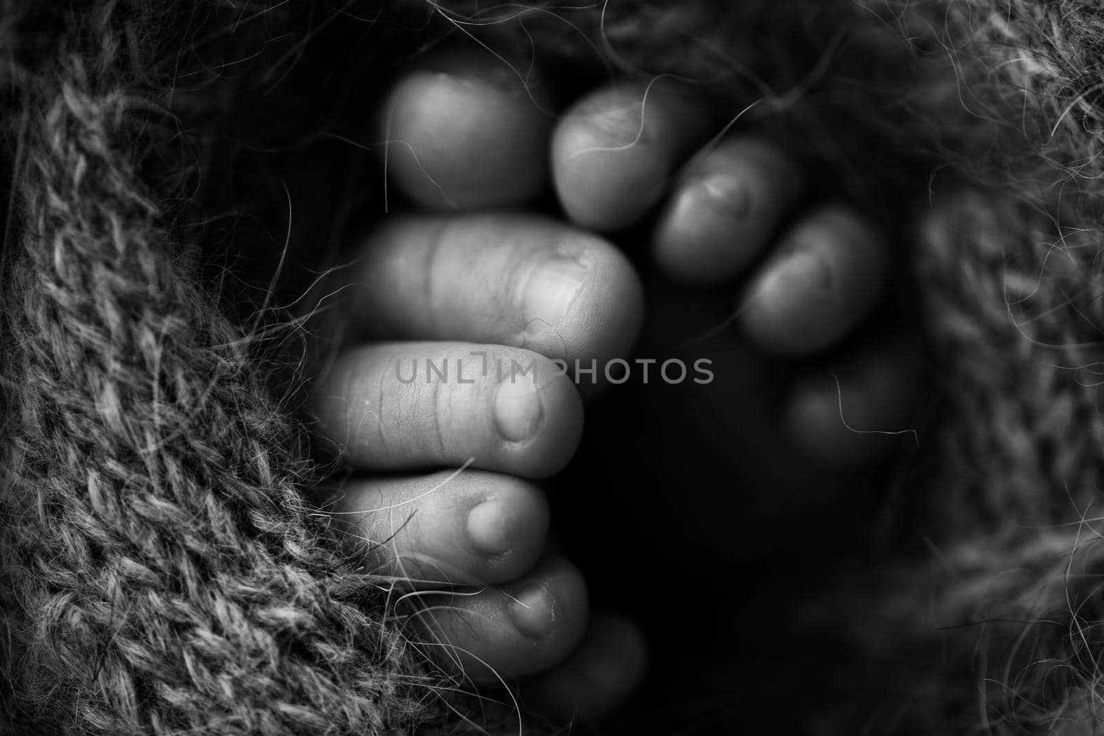 Photo of the legs of a newborn. Baby feet covered with wool isolated background. The tiny foot of a newborn in soft selective focus. Black and white image of the soles of the feet. by Vad-Len