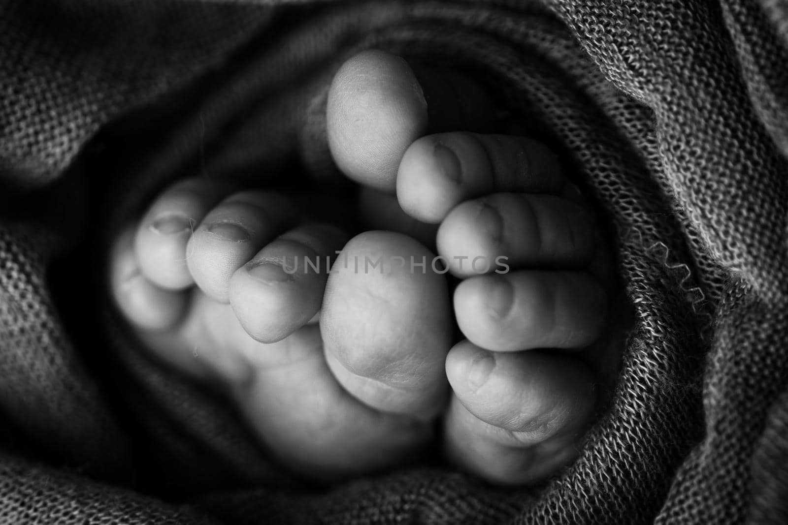 Photo of the legs of a newborn. Baby feet covered with wool isolated background. The tiny foot of a newborn in soft selective focus. Black and white image of the soles of the feet. by Vad-Len