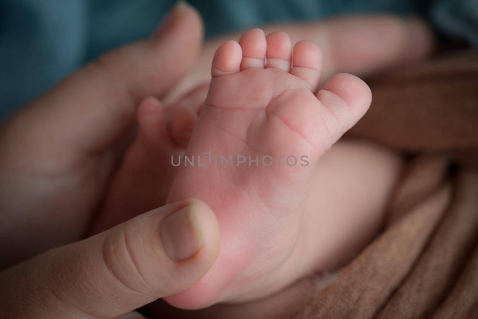 Children's feet in hold hands of mother and father. Mother, father and Child. Happy Family people concept. by Vad-Len