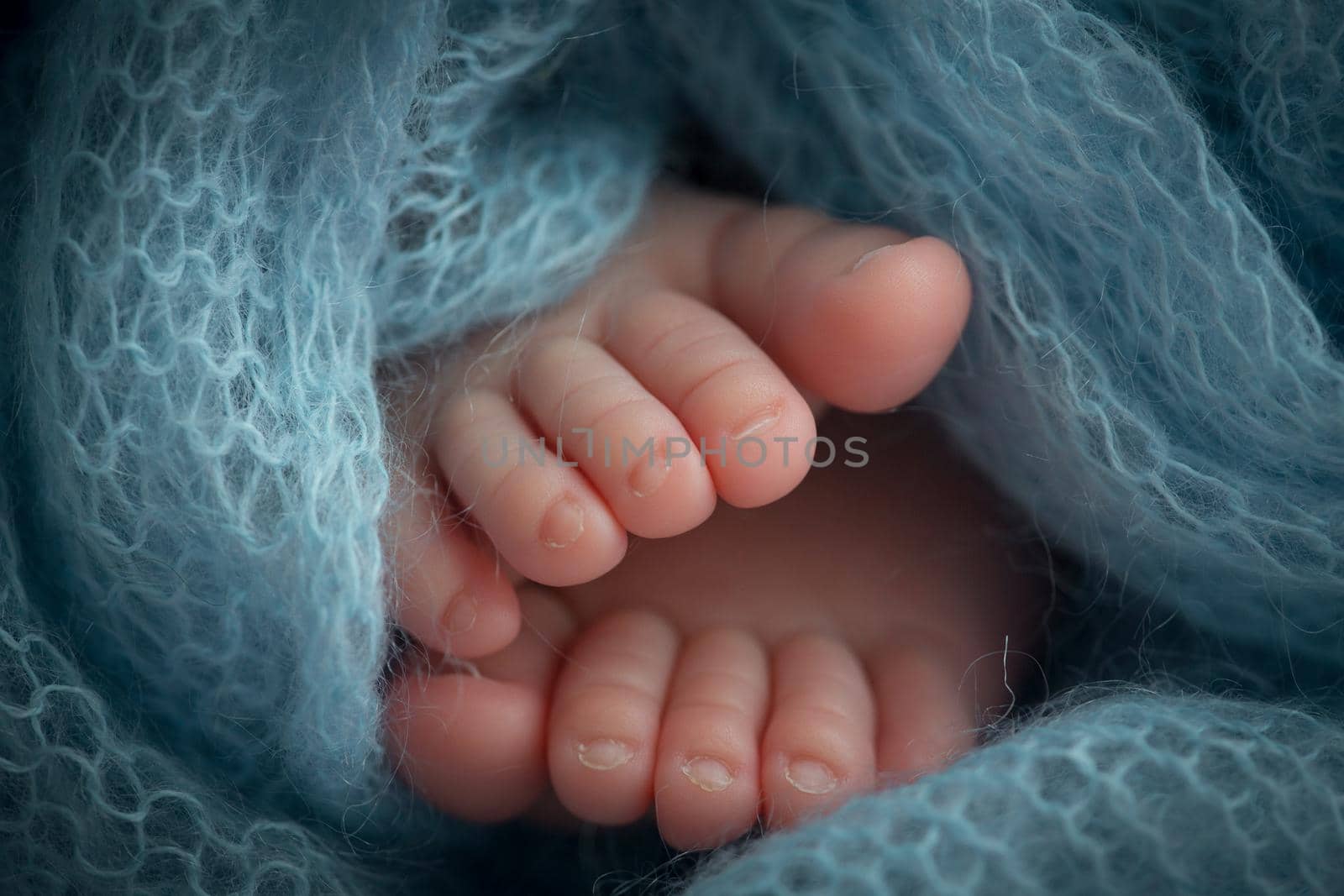 Photo of the legs of a newborn. Baby feet covered with wool isolated background. The tiny foot of a newborn in soft selective focus. Image of the soles of the feet. by Vad-Len