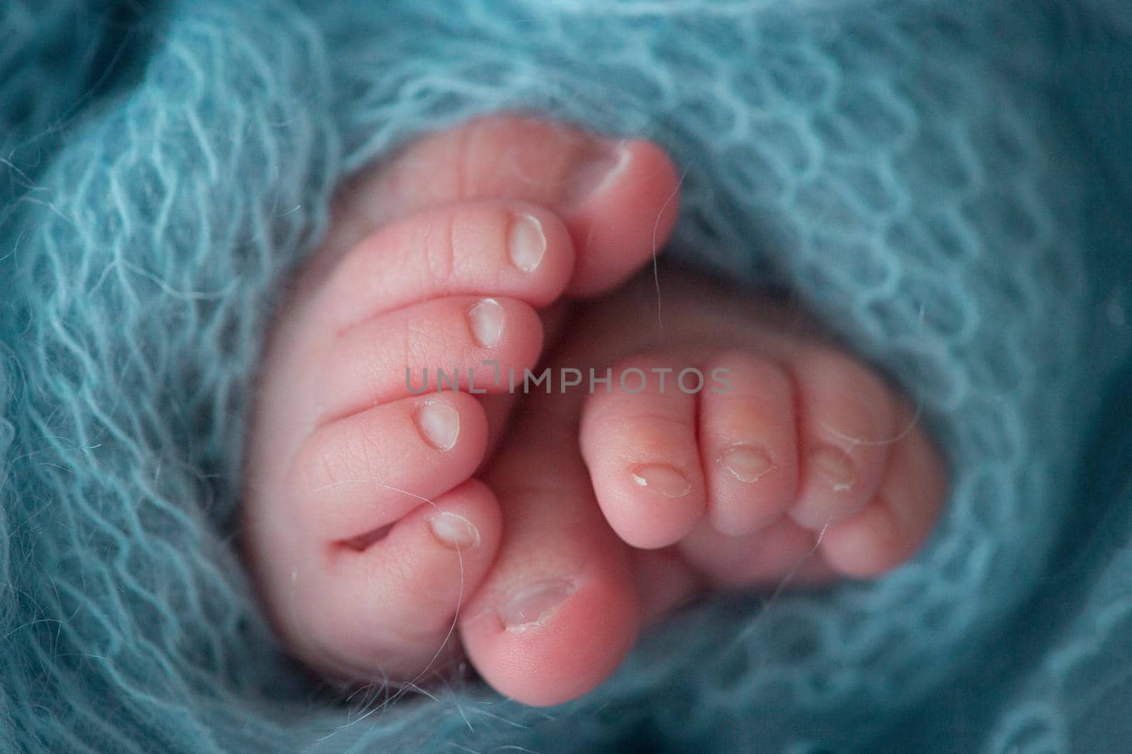 Two cute tiny baby feet wrapped in a blue-green aqua knitted blanket by Vad-Len